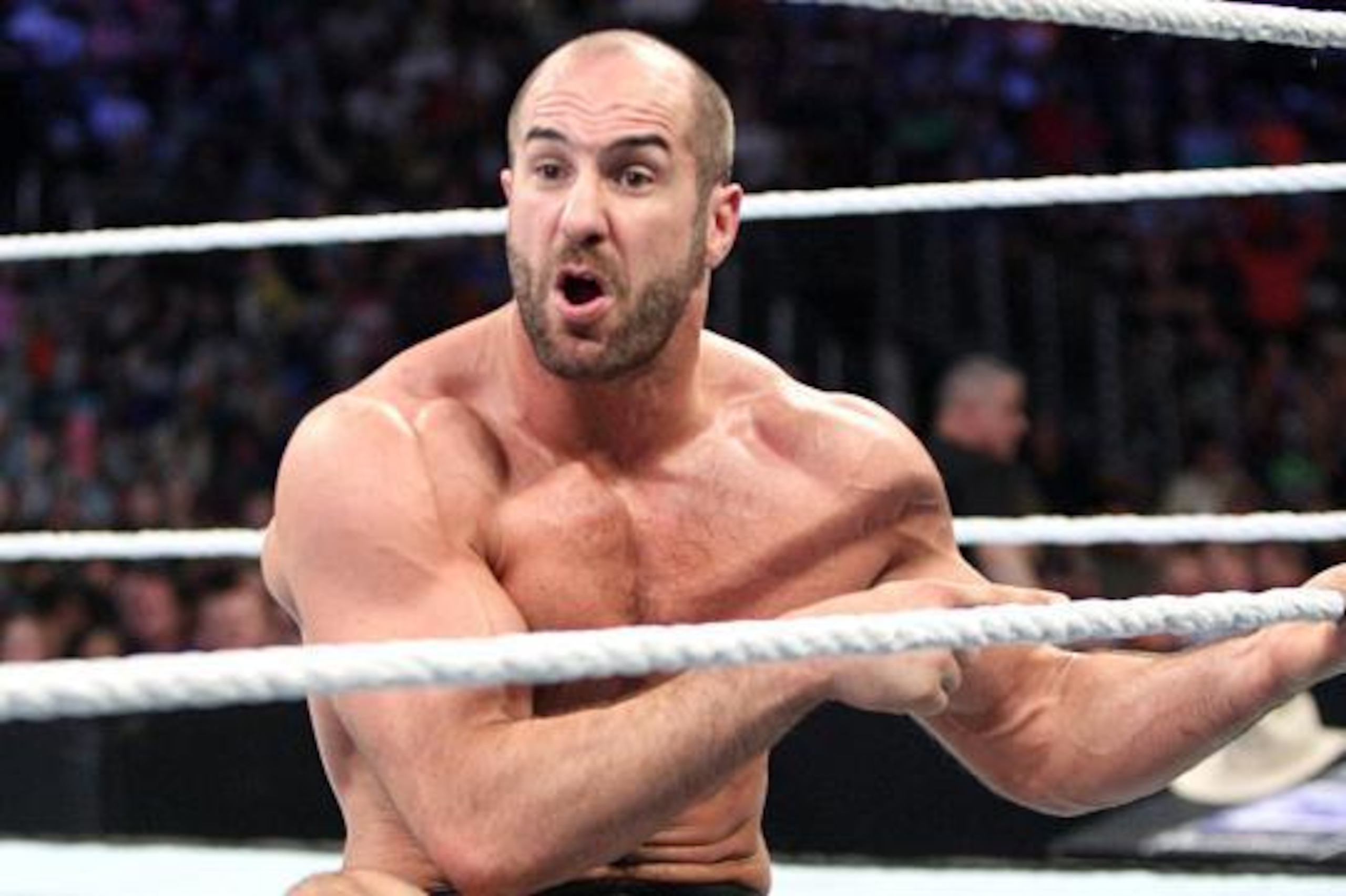 When will it be Cesaro's time to shine atop the WWE roster?