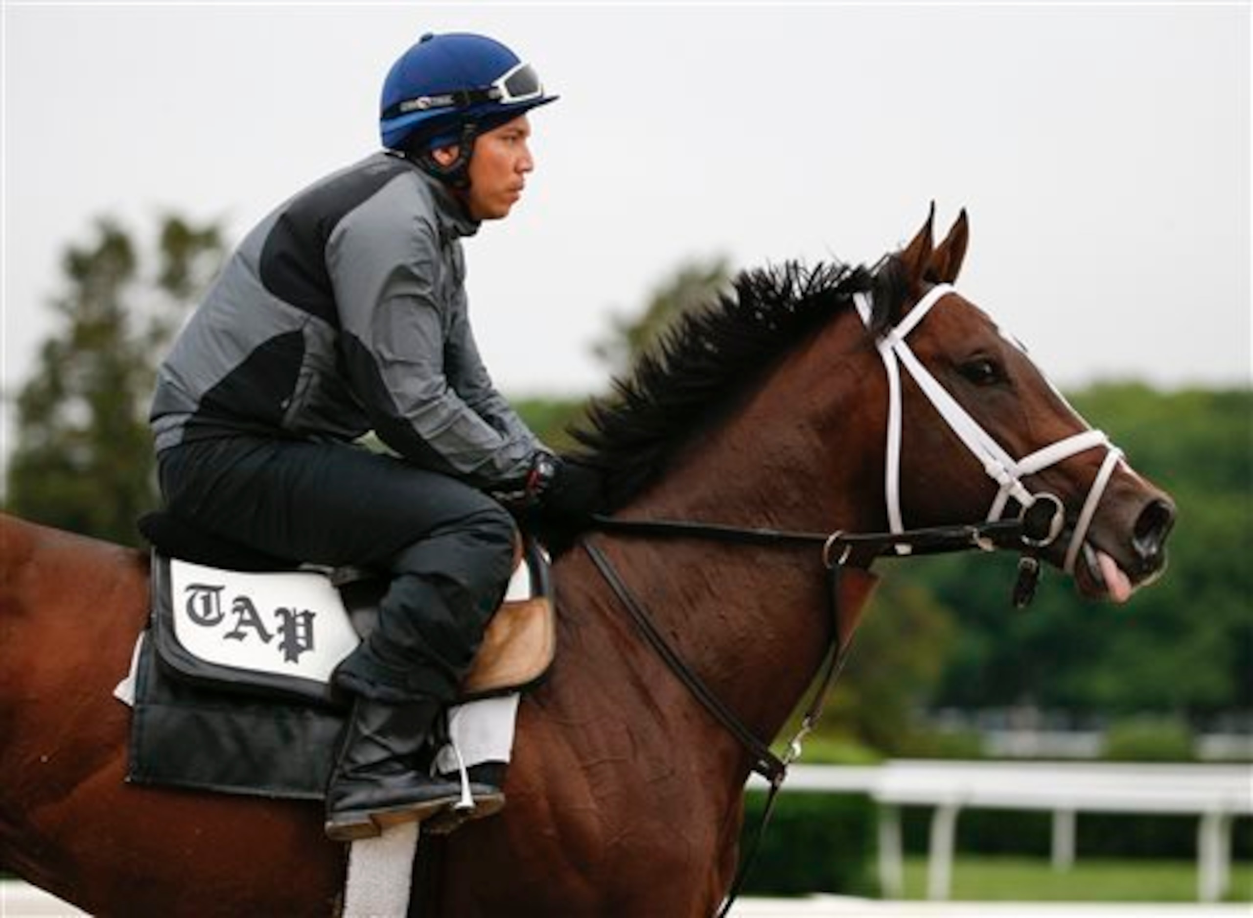 Materiality is looking to rebound off his sixth-place finish in the Derby.