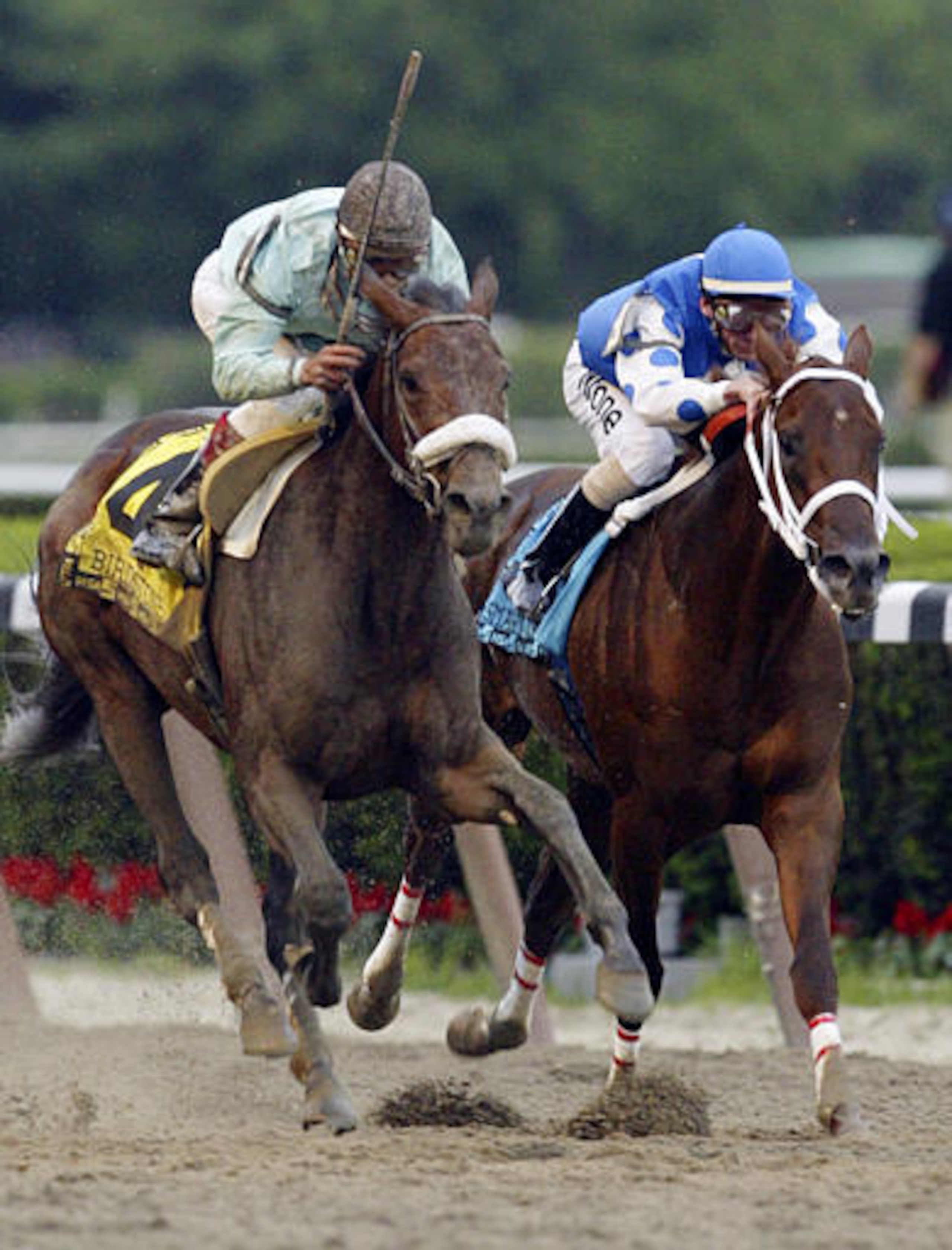 Birdstone stunned Smarty Jones fans in 2004.