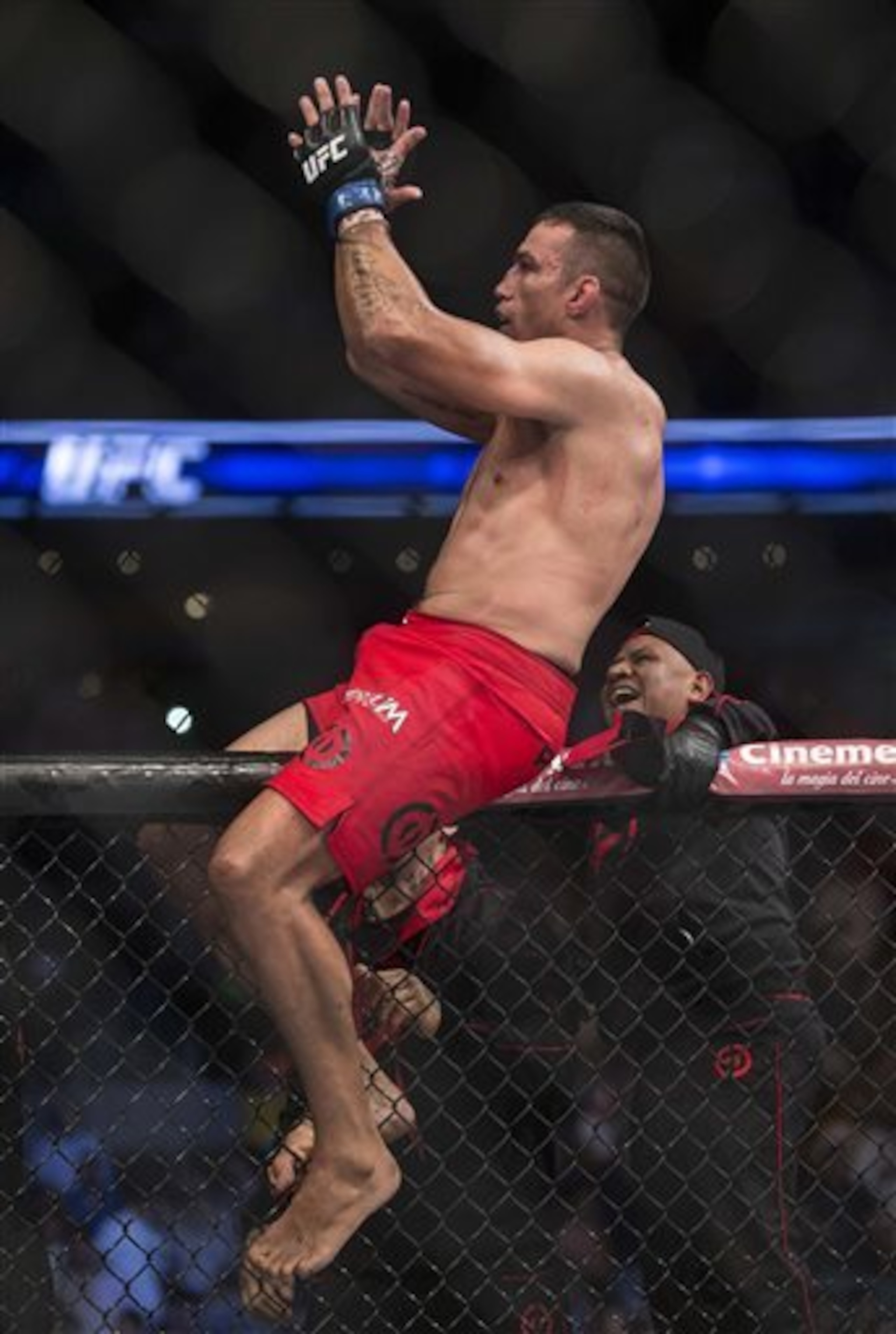 Fabricio Werdum is now the undisputed UFC heavyweight champion.