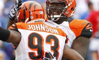 Michael Johnson is back in the fold in Cincinnati after a year in Tampa Bay.