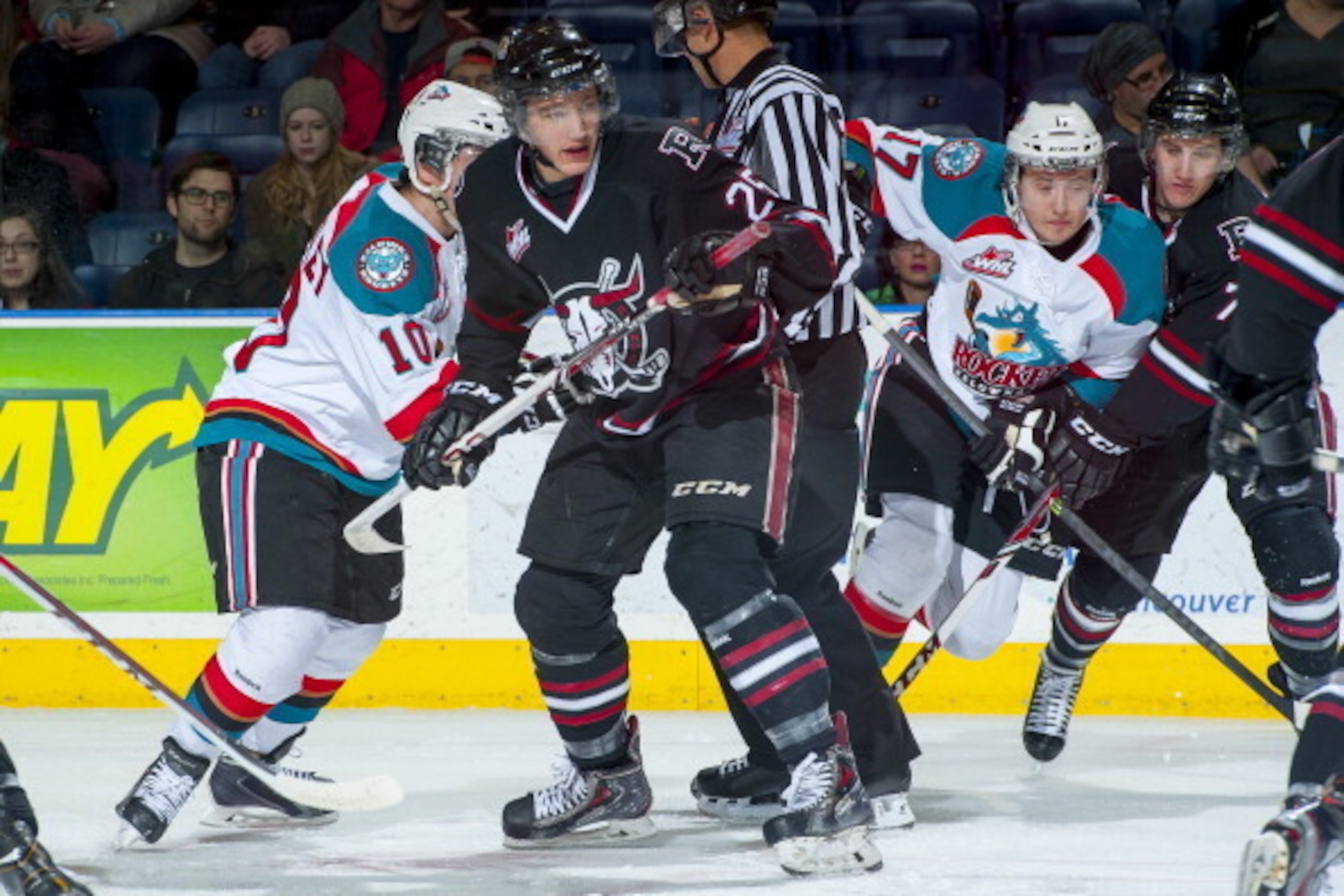 Red Deer's Adam Musil is expected to don a jersey in the second or third round.
