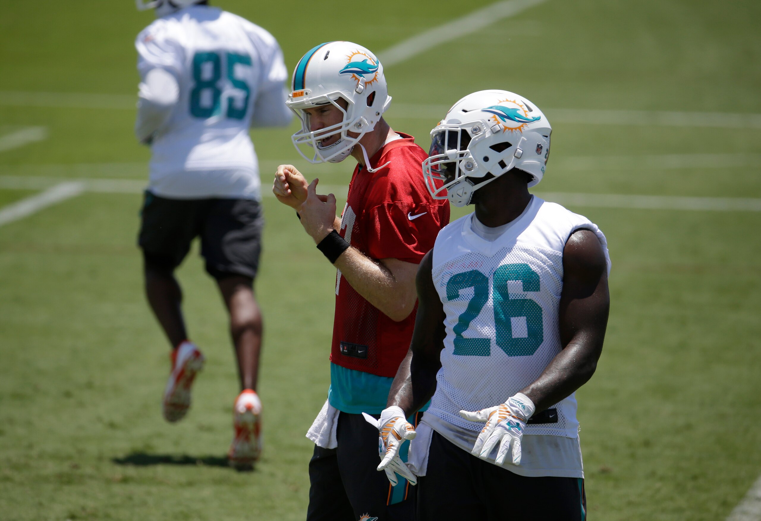 In all likelihood, Lamar Miller (26, right) will be the Dolphins' No. 1 back in 2015.