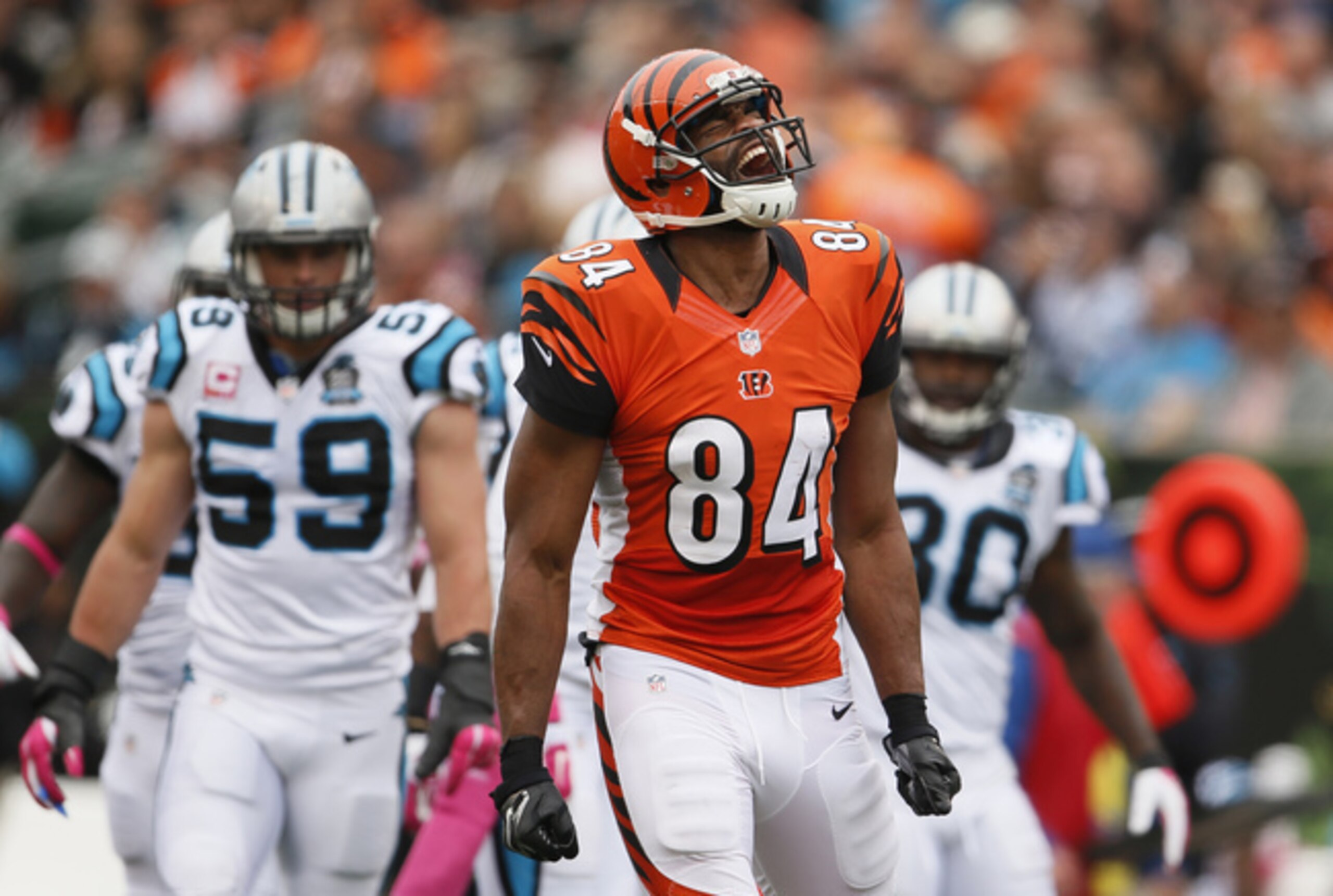 The Bears could have bolstered their depth at the tight end position this offseason by signing Jermaine Gresham.