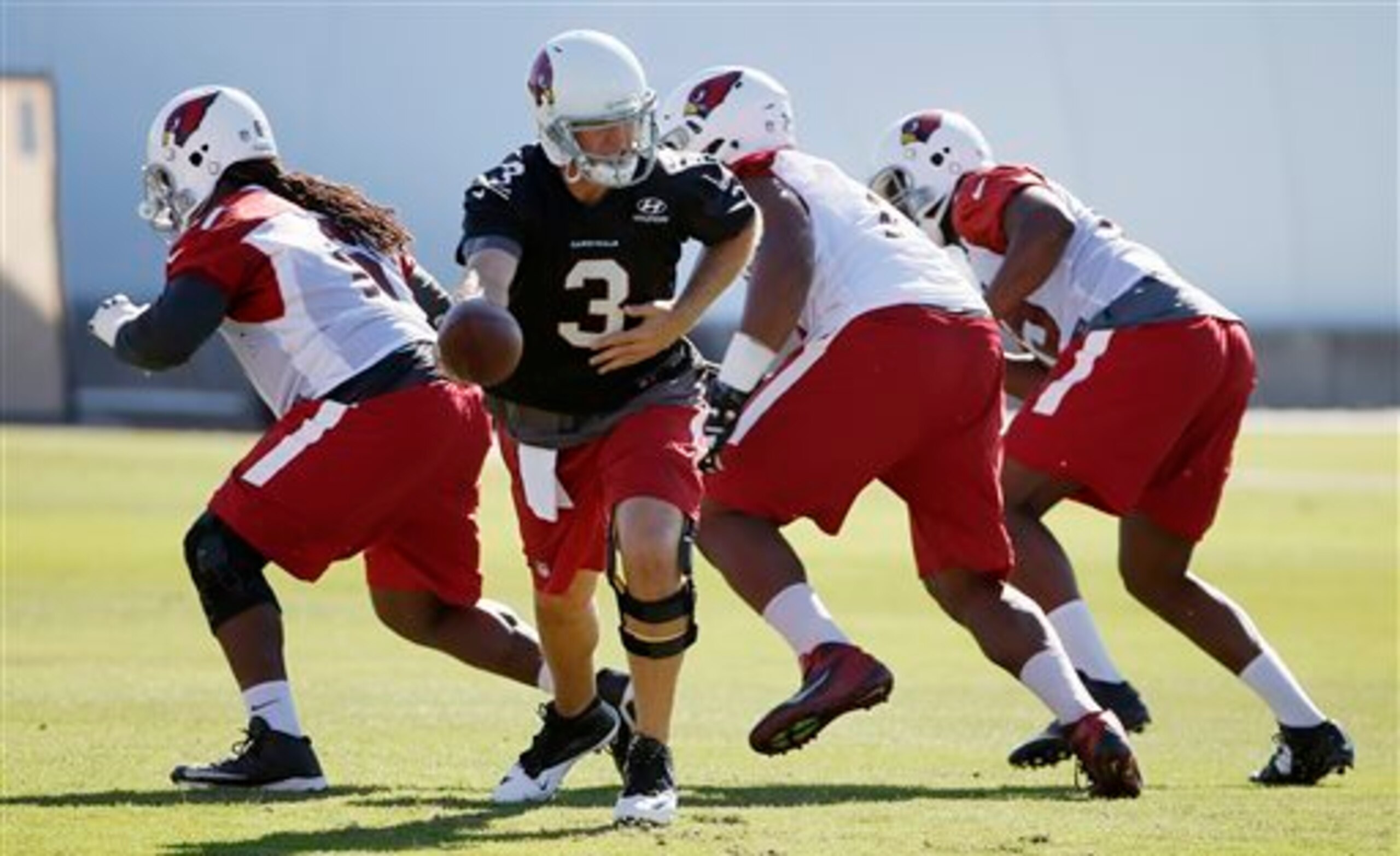 Palmer will wear a knee brace in 2015 to augment his surgically repaired ACL.