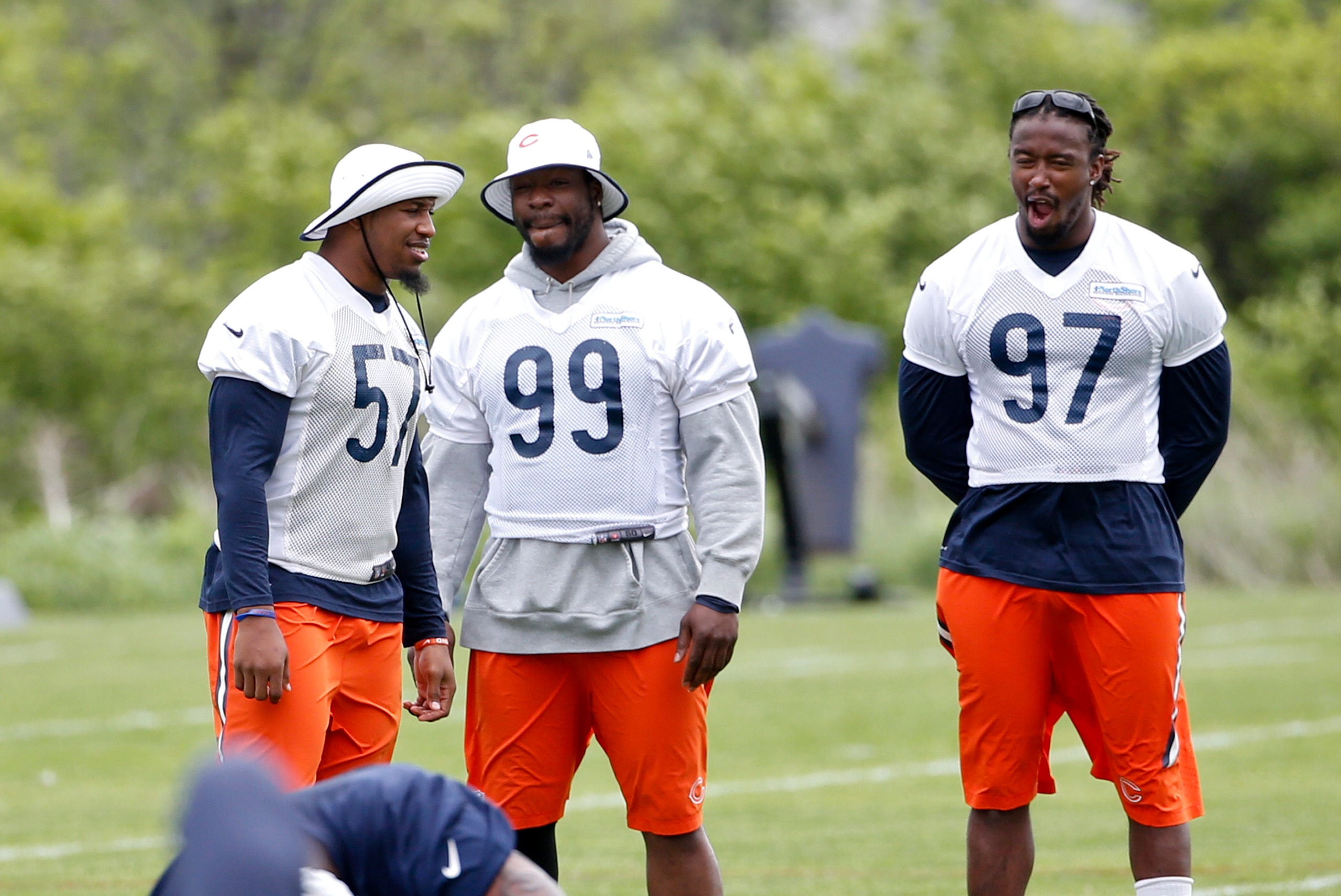 Lamarr Houston's (99) health is one of Chicago's biggest storylines heading into training camp.