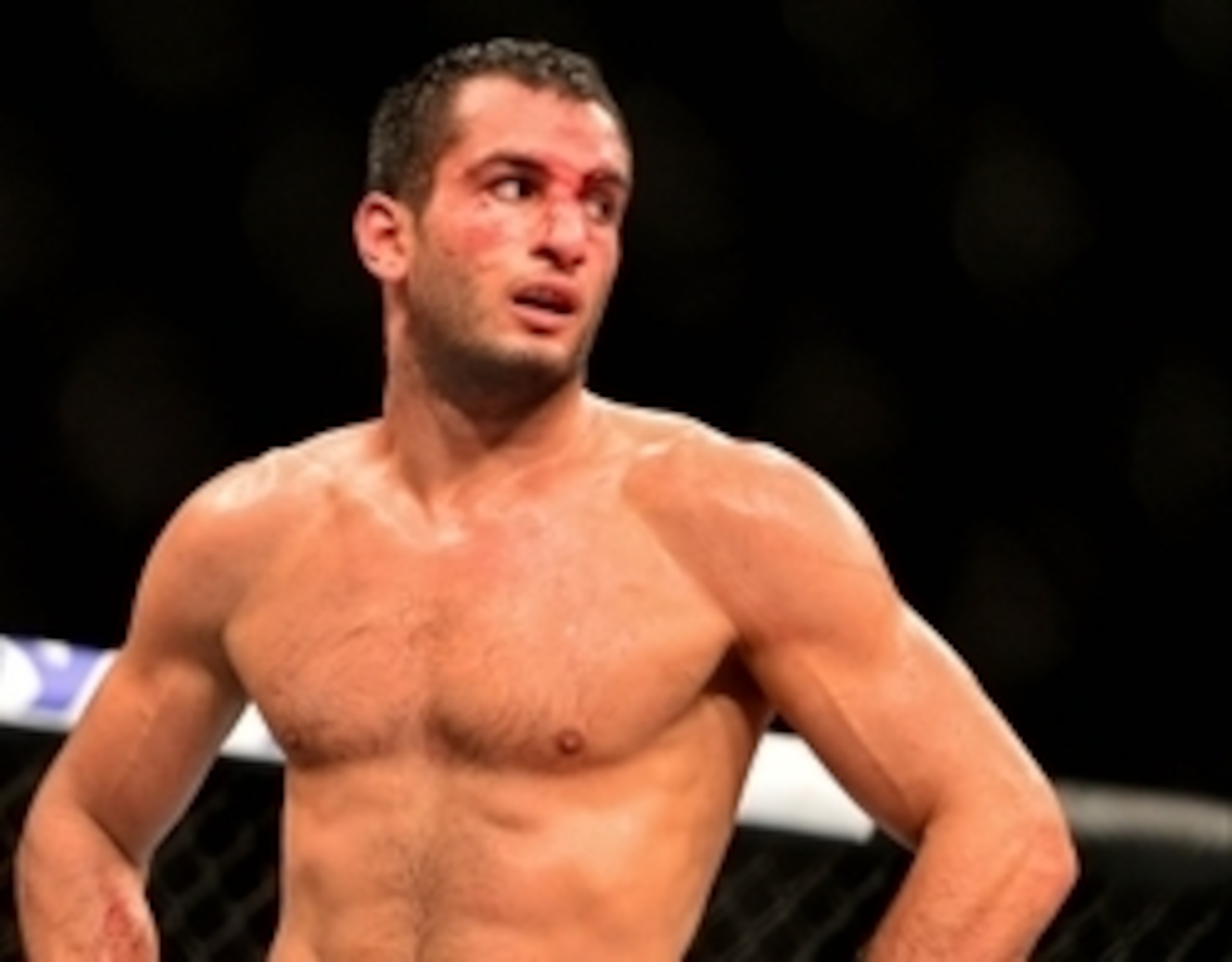Gegard Mousasi is often overlooked in the division.