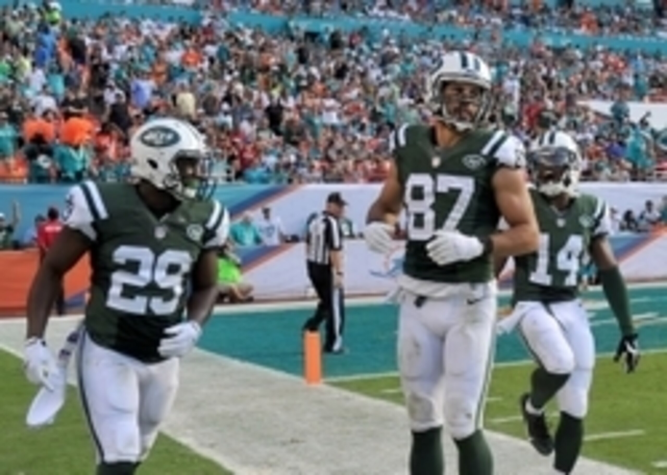 Bilal Powell (29, left) is the only back in the Jets offense with significant experience in the passing game.