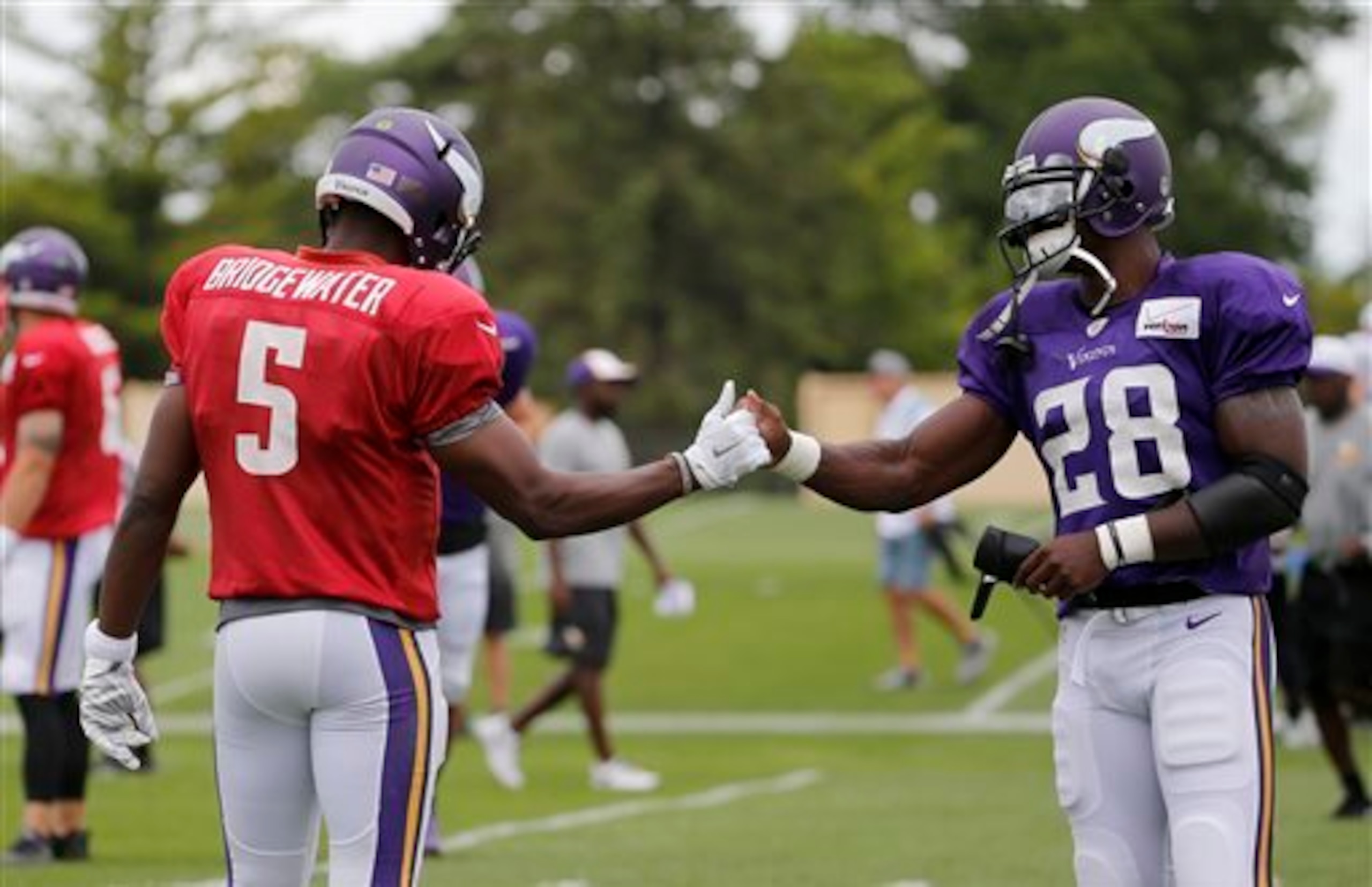 Bridgewater and the entire Vikings offense will benefit greatly from Peterson's return.