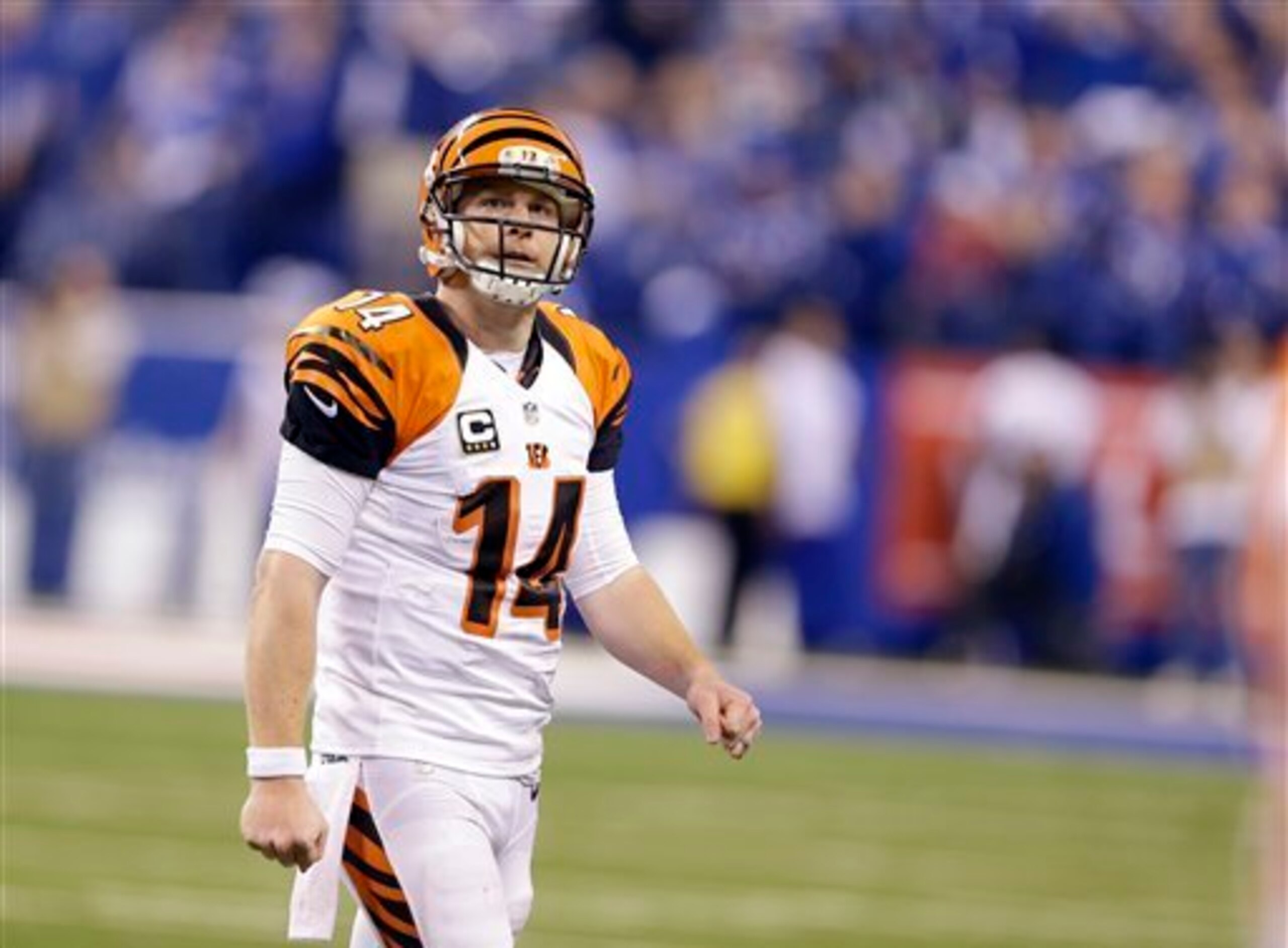 The Bengals have made the playoffs all four seasons with Andy Dalton as their quarterback, yet they are 0-4 in the postseason during that time.