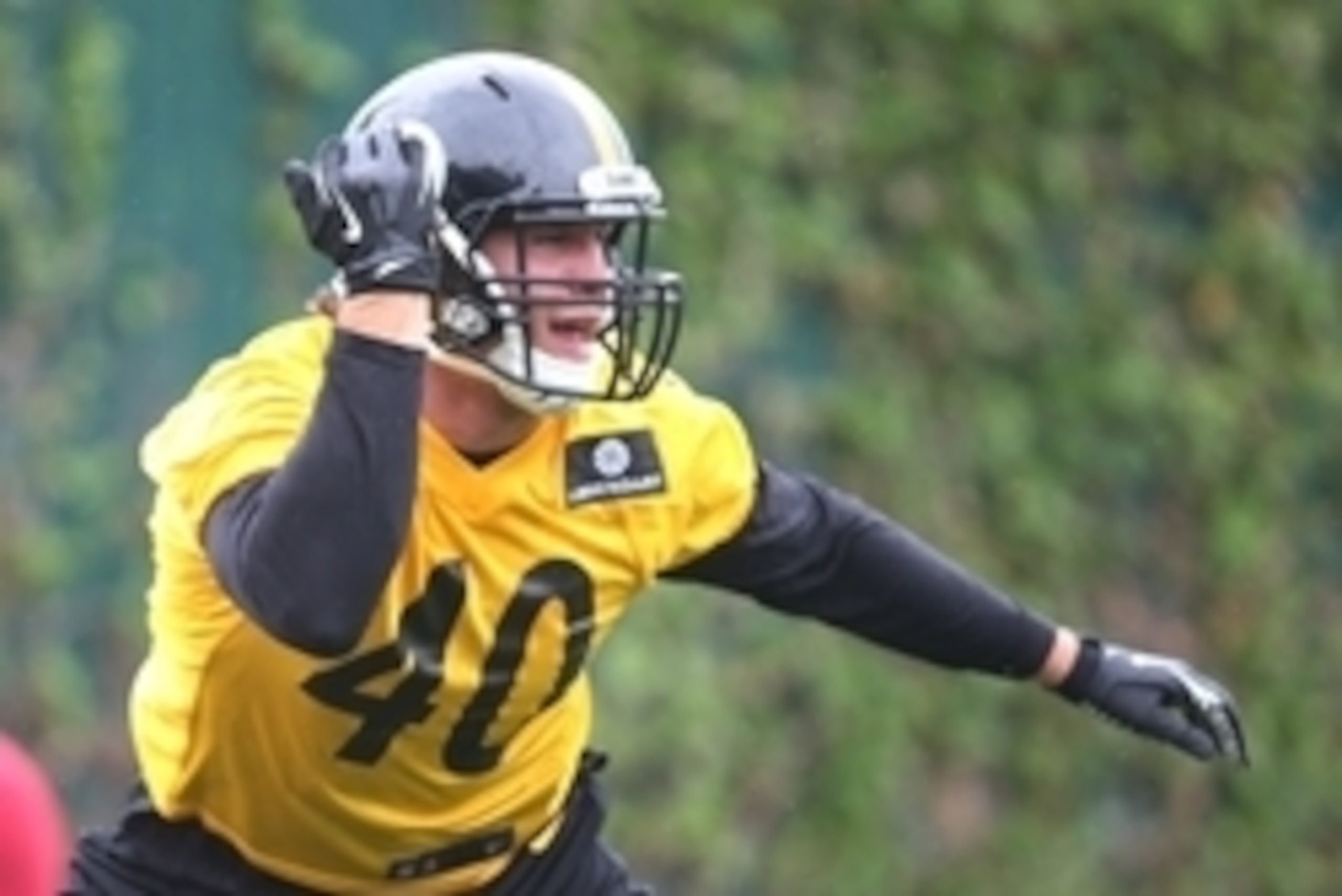 Has sixth-round Steelers draft pick Anthony Chickillo had a good camp so far, or is he on the roster bubble after two weeks?