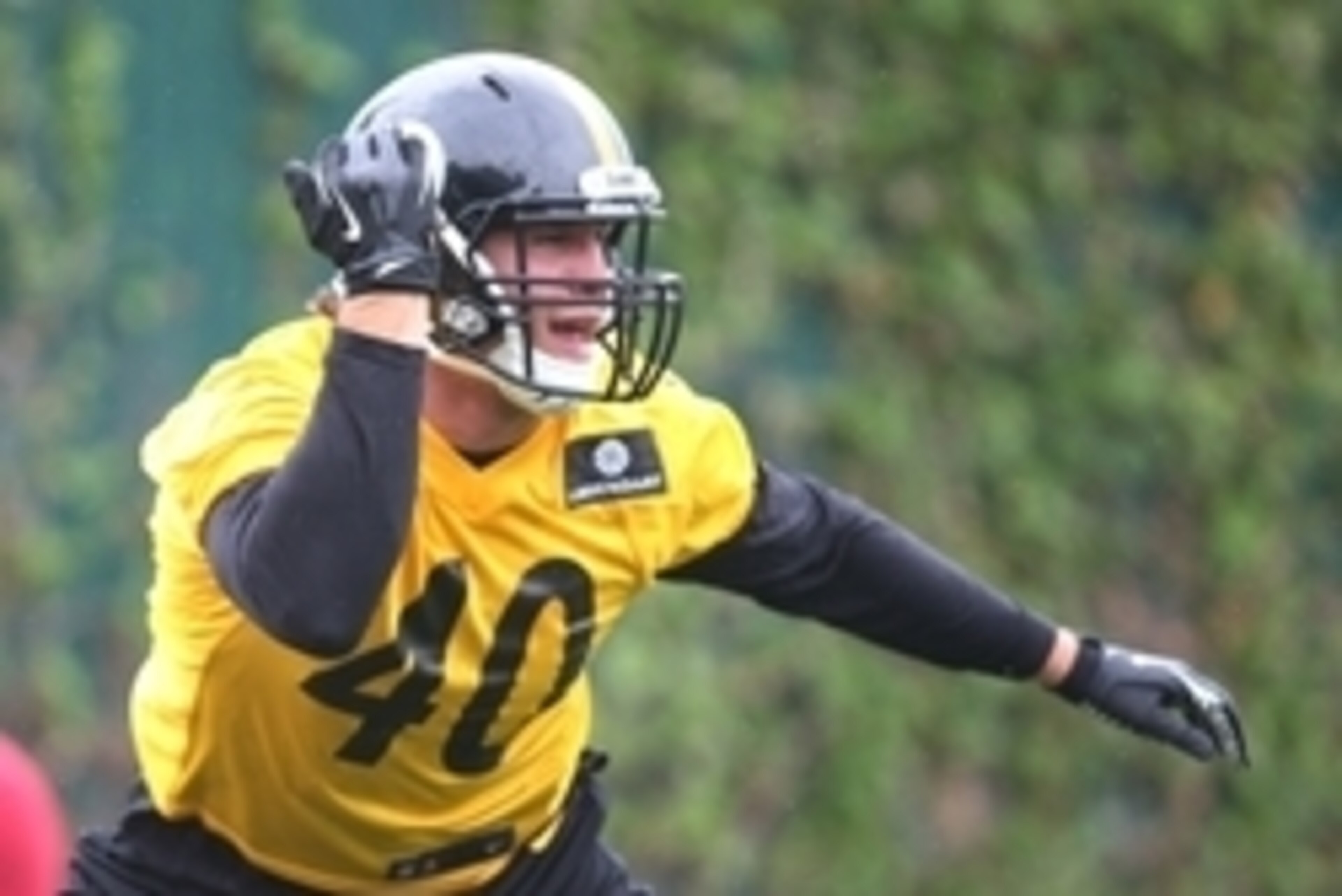 Has sixth-round Steelers draft pick Anthony Chickillo had a good camp so far, or is he on the roster bubble after two weeks?