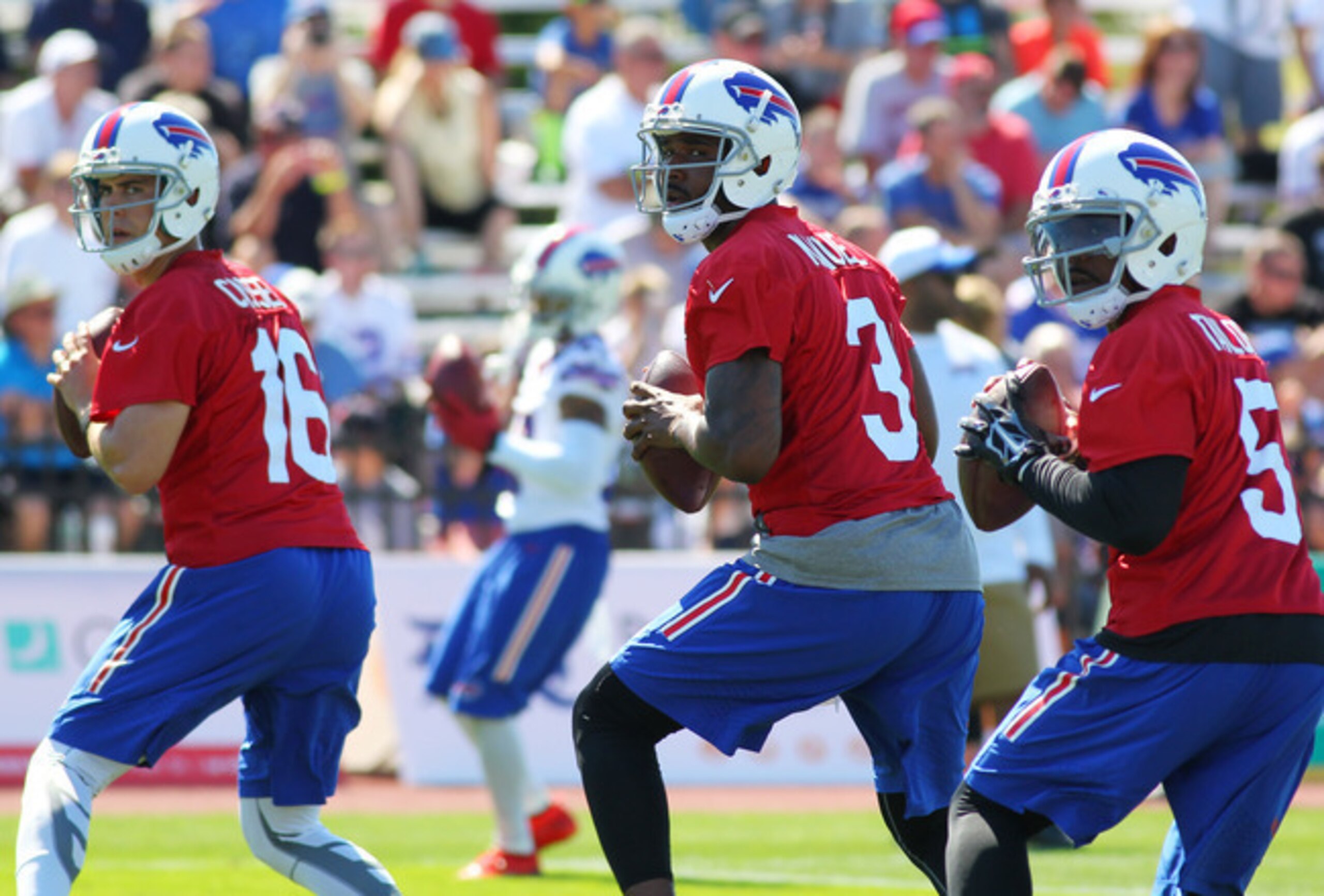 The Buffalo Bills have a solid defense in place but questions remain at quarterback. The Buffalo Bills have a solid defense in place but questions remain at quarterback.