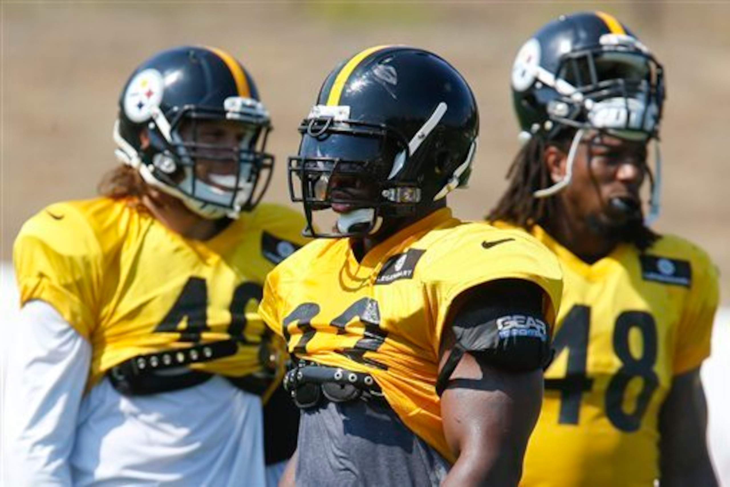 It's the dog days of summer, which means it's near the end of Pittsburgh Steelers training camp.