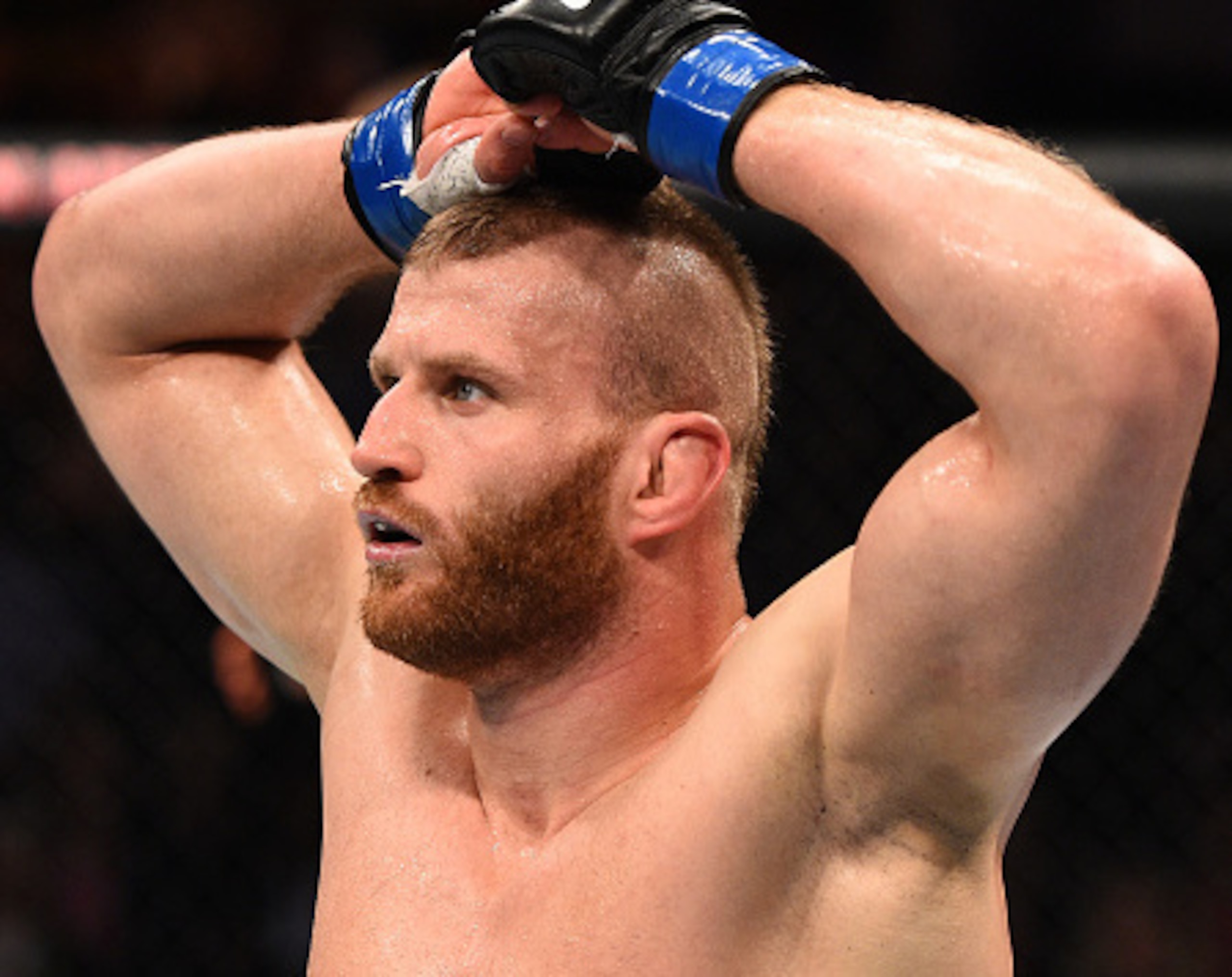 Jan Blachowicz