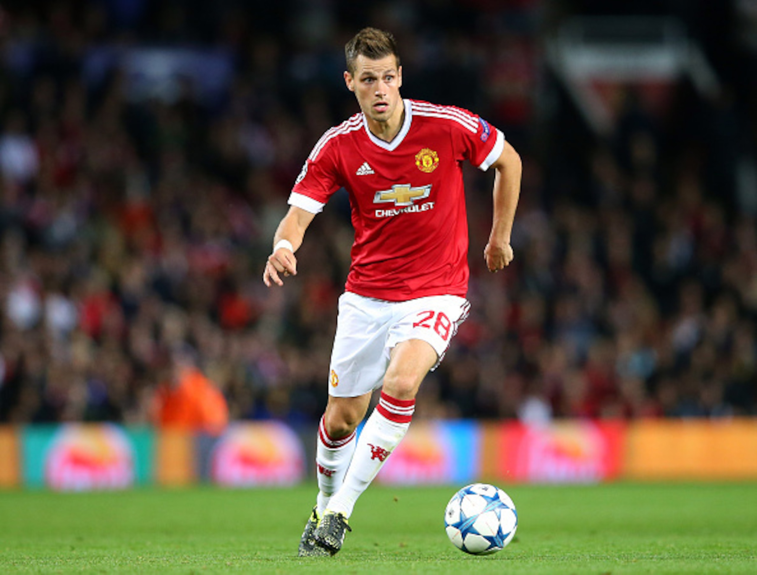 Morgan Schneiderlin