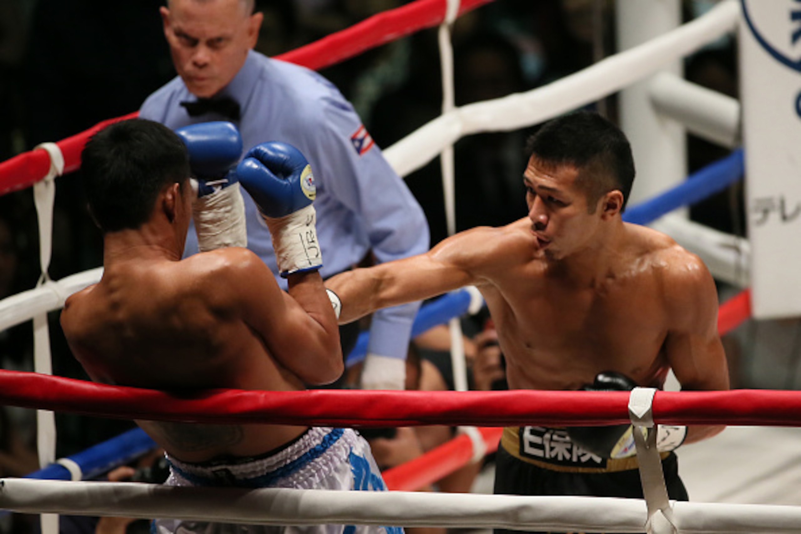 The best junior lightweight is from Japan.