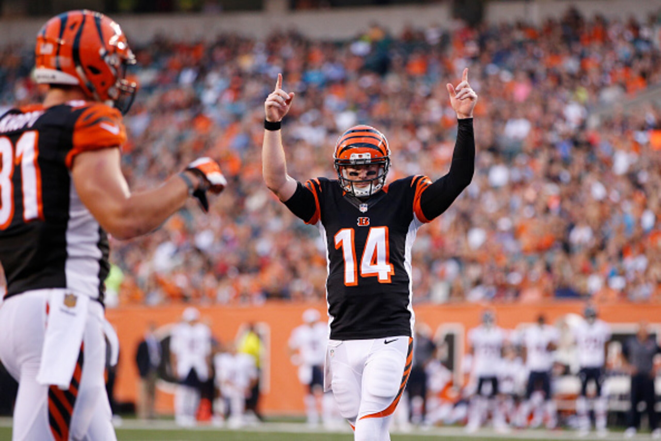 No. 14 Andy Dalton