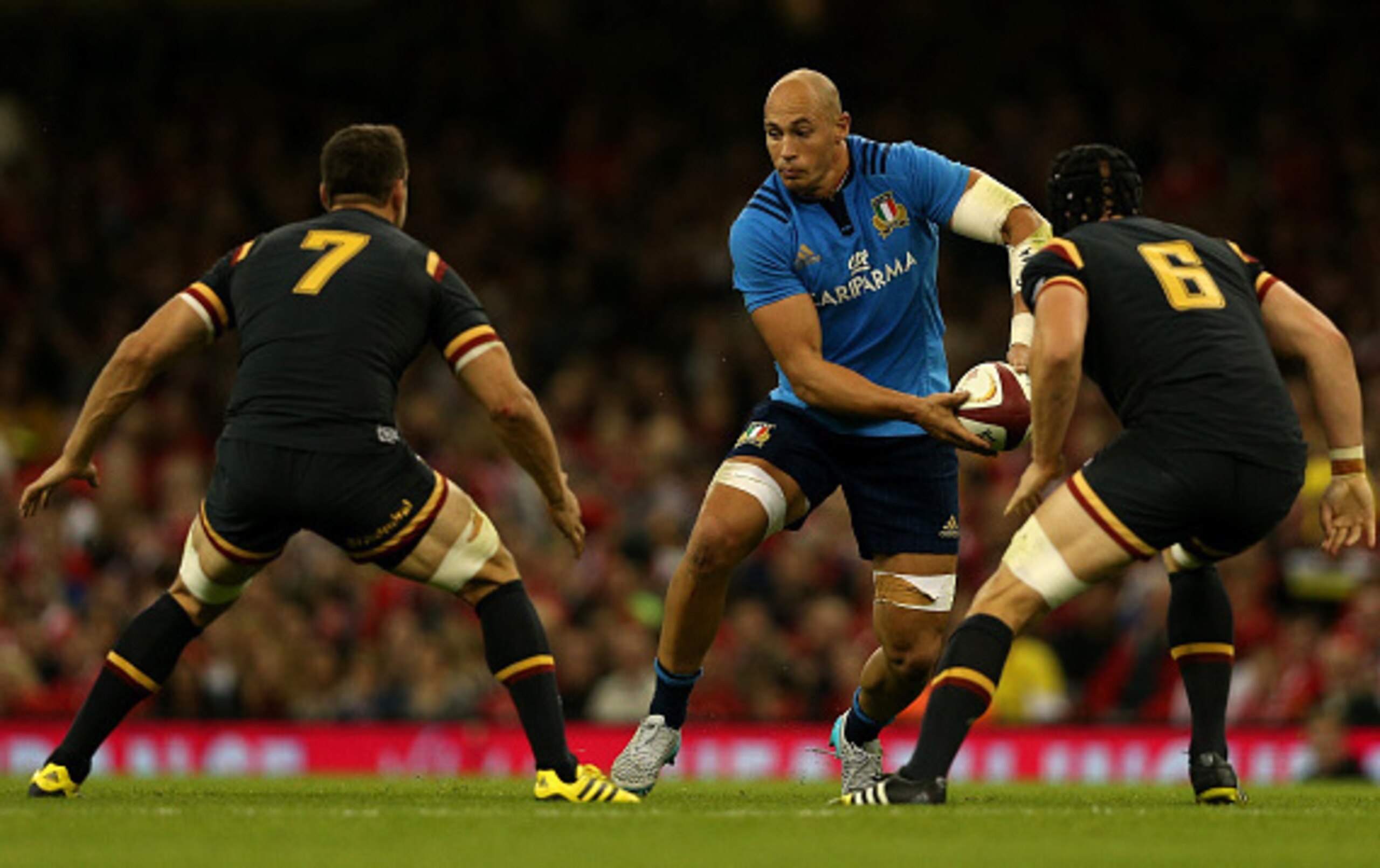 Sergio Parisse against Wales at the start of September.