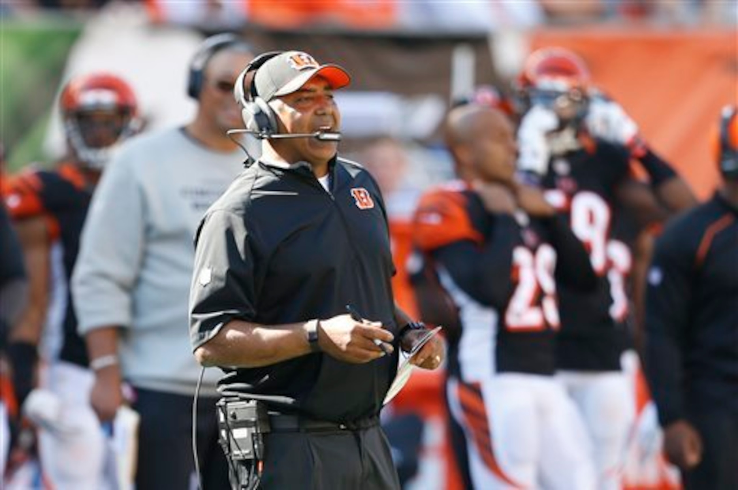 Marvin Lewis continues to hand more control of the offense to Andy Dalton.