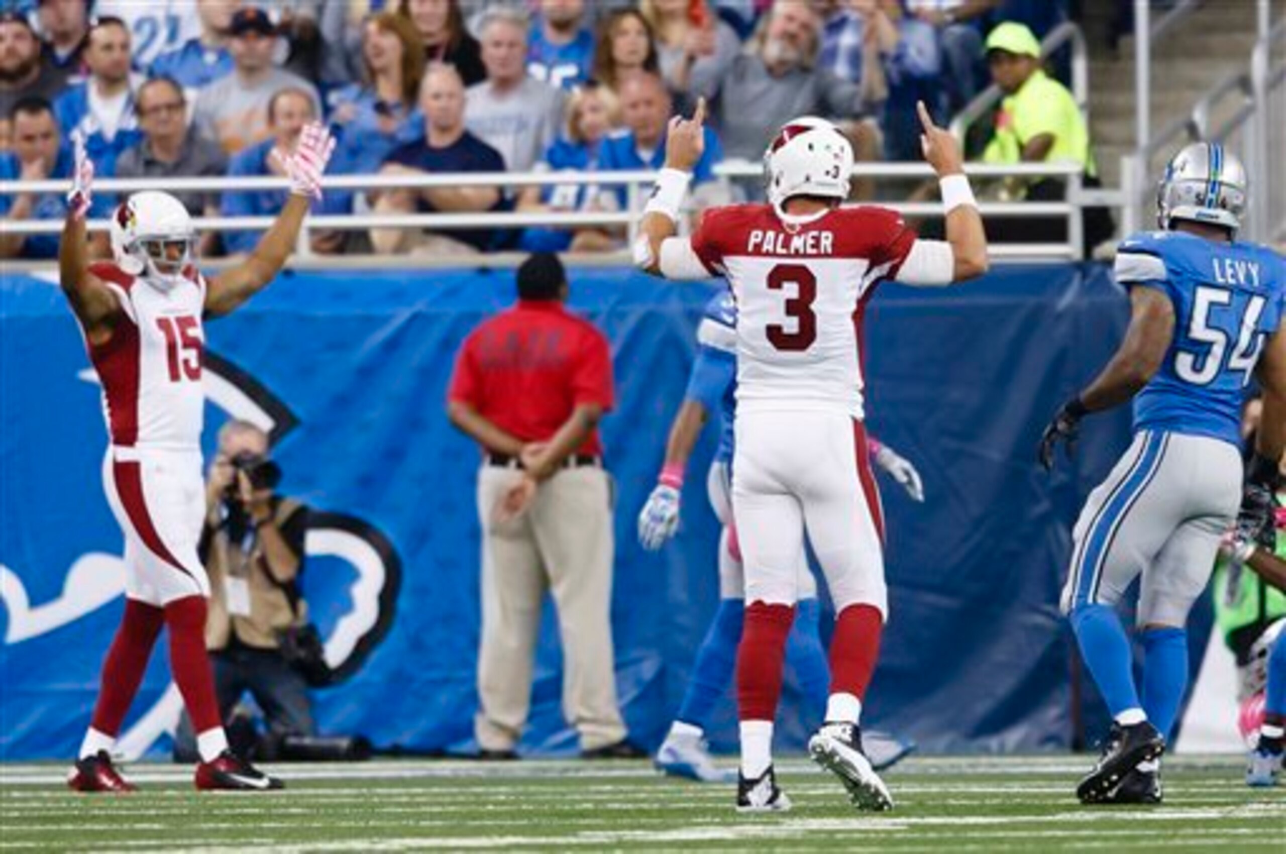 Carson Palmer