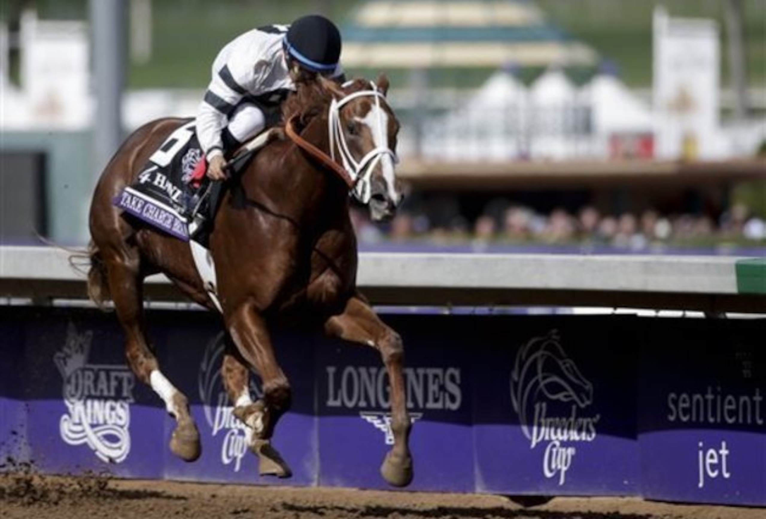 Take Chaege Brandi paid $125,40 in last year's Juvenile Fillies. Take Chaege Brandi paid $125,40 in last year's Juvenile Fillies.