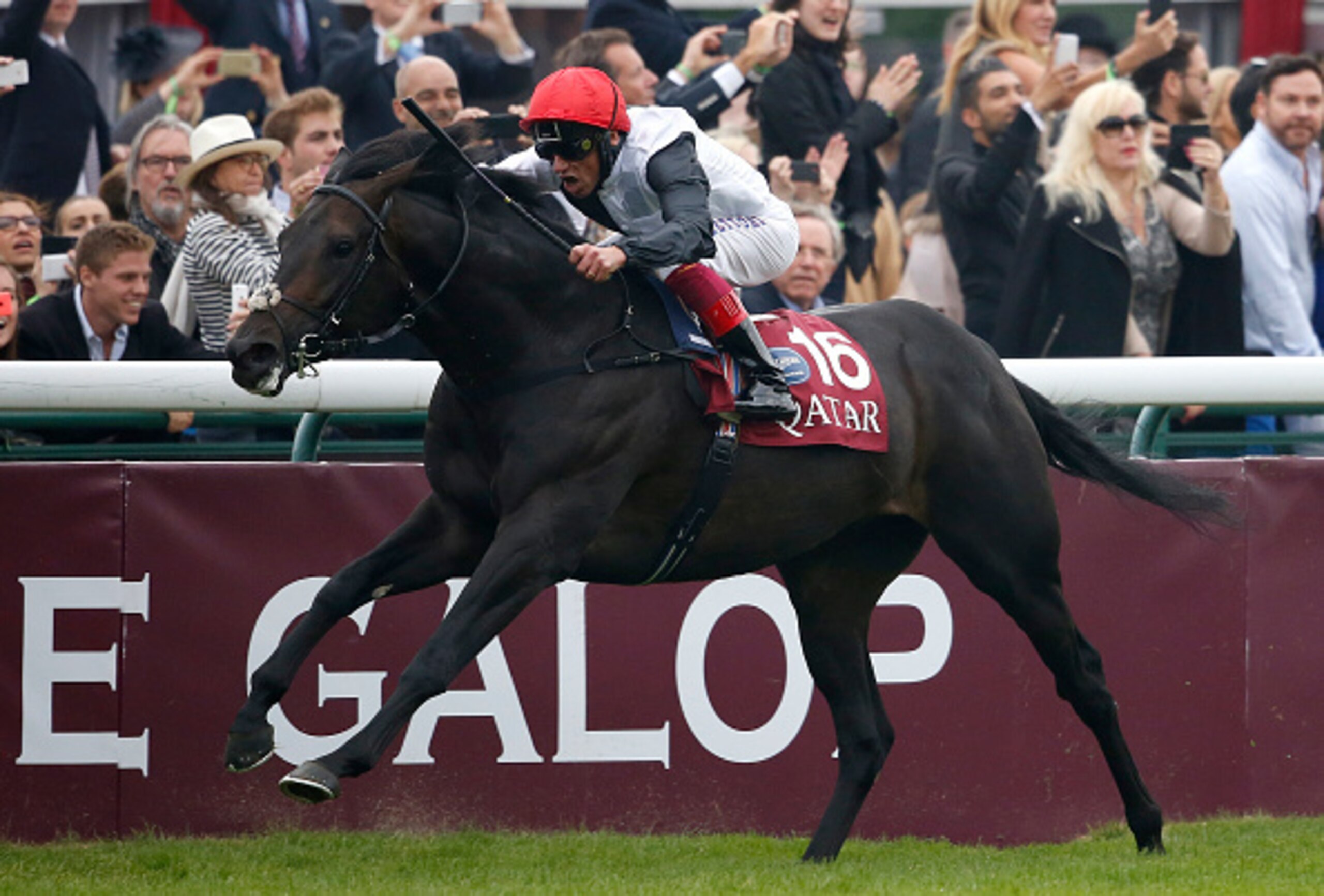 Arc winner Golden Horn is the one to beat in the Turf. Arc winner Golden Horn is the one to beat in the Turf.