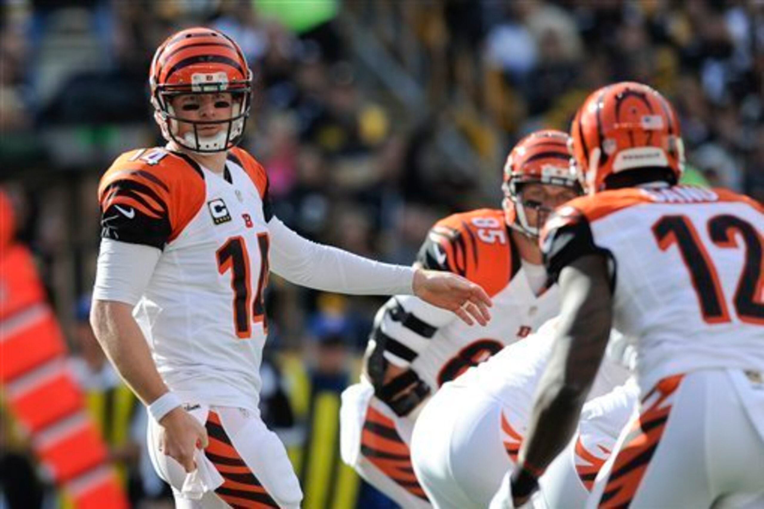 The Cincinnati Bengals moved to 7-0 after the Week 8 win.