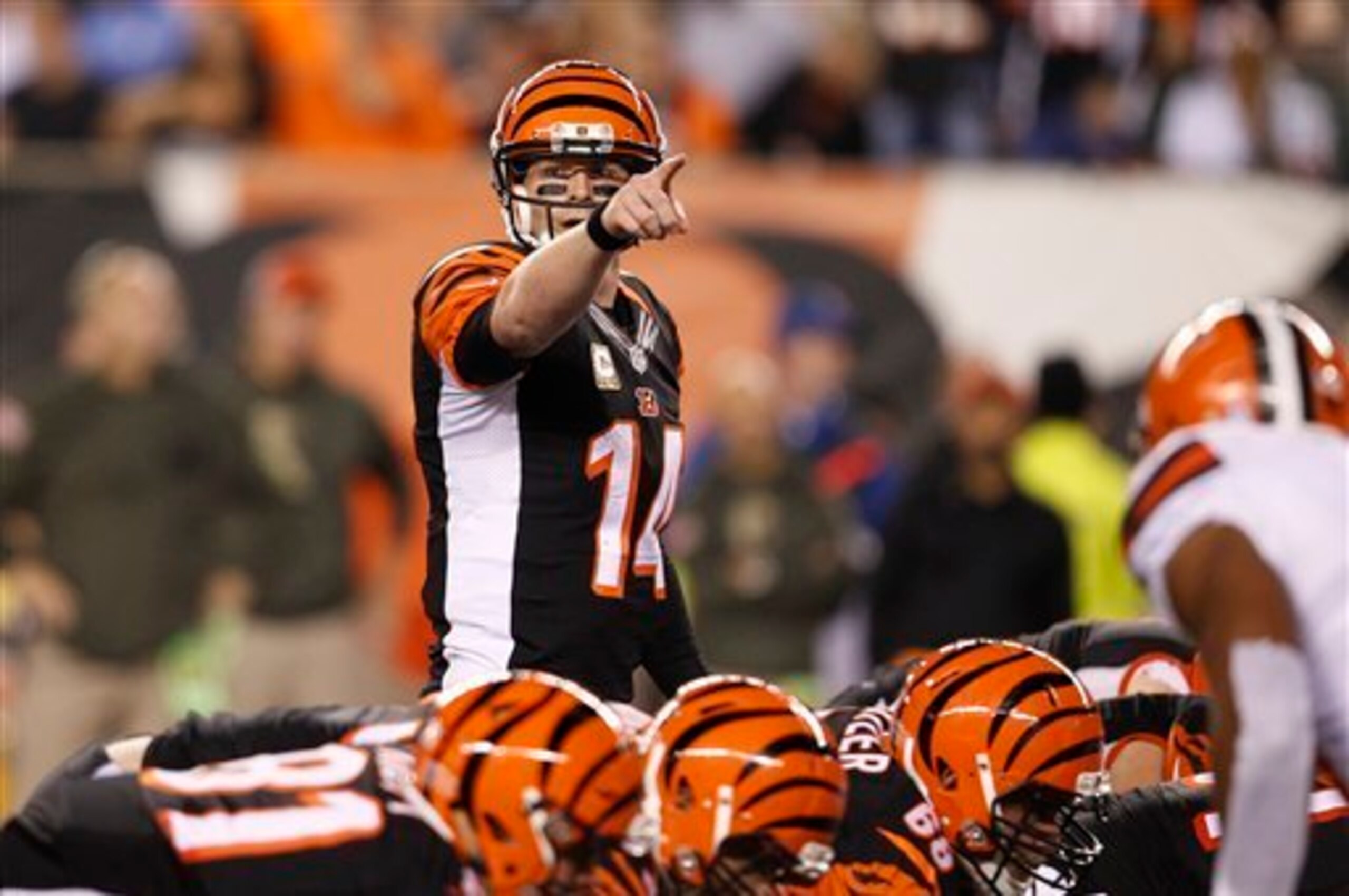 Flying colors across the board for the Bengals.