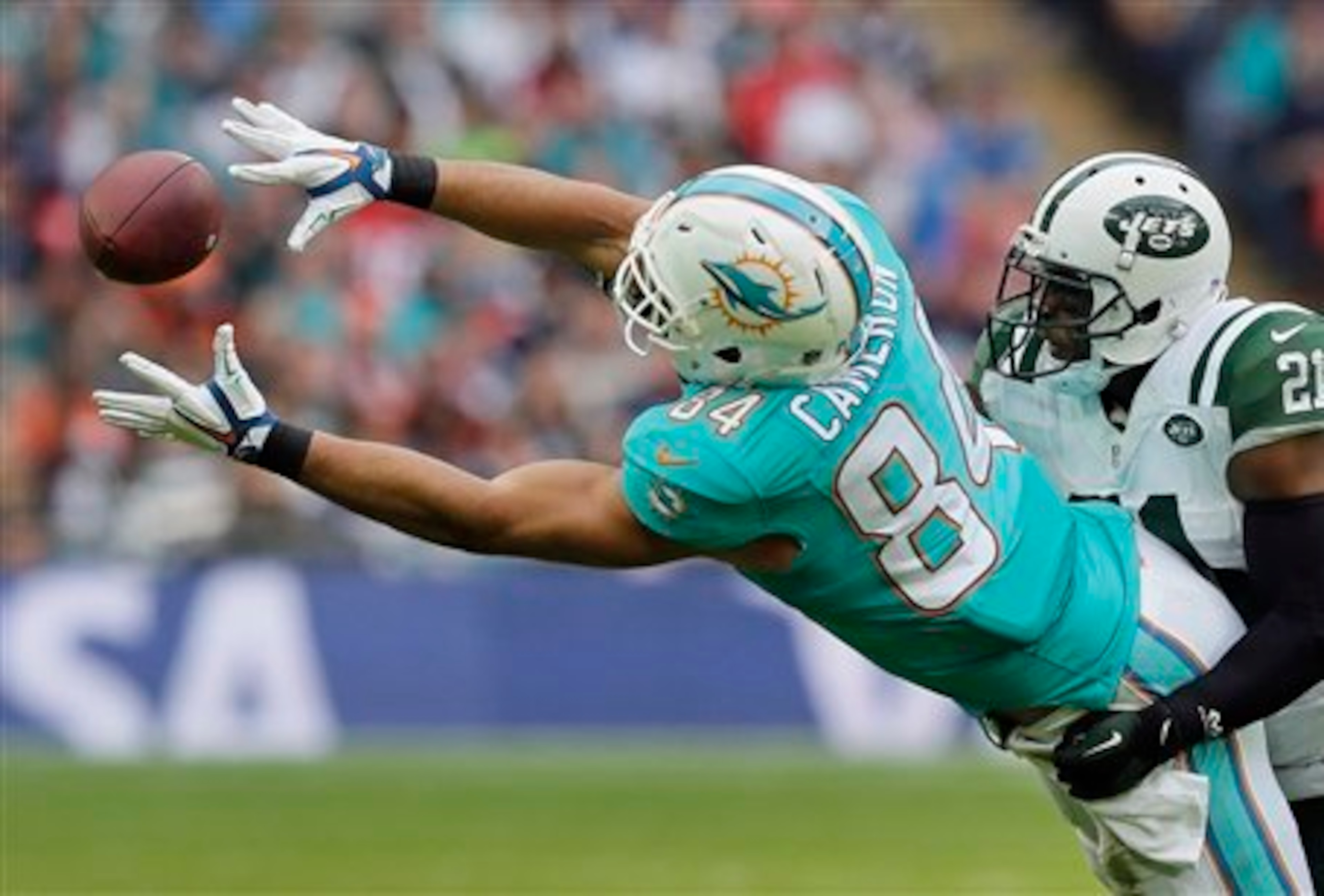 Jordan Cameron