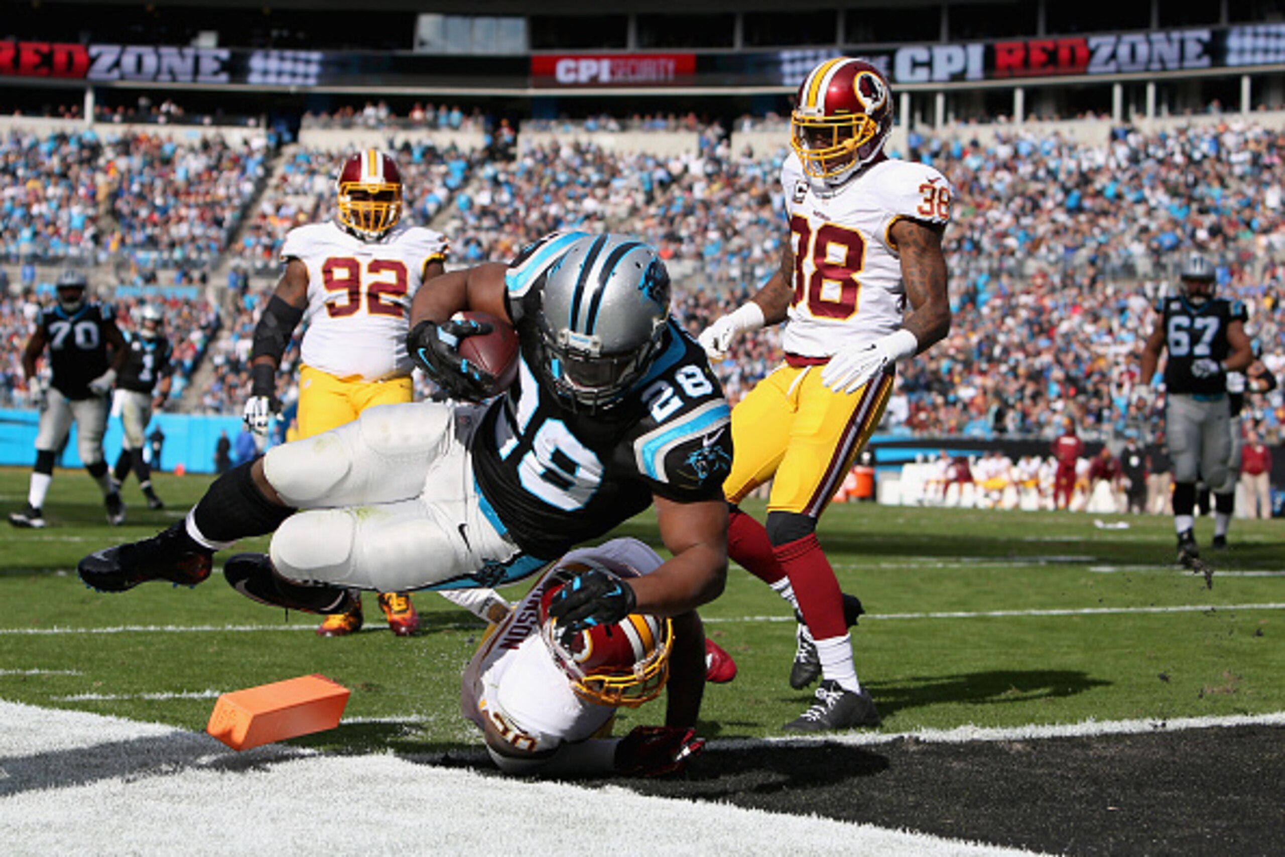 Carolina's undefeated season was never in doubt in Week 11.