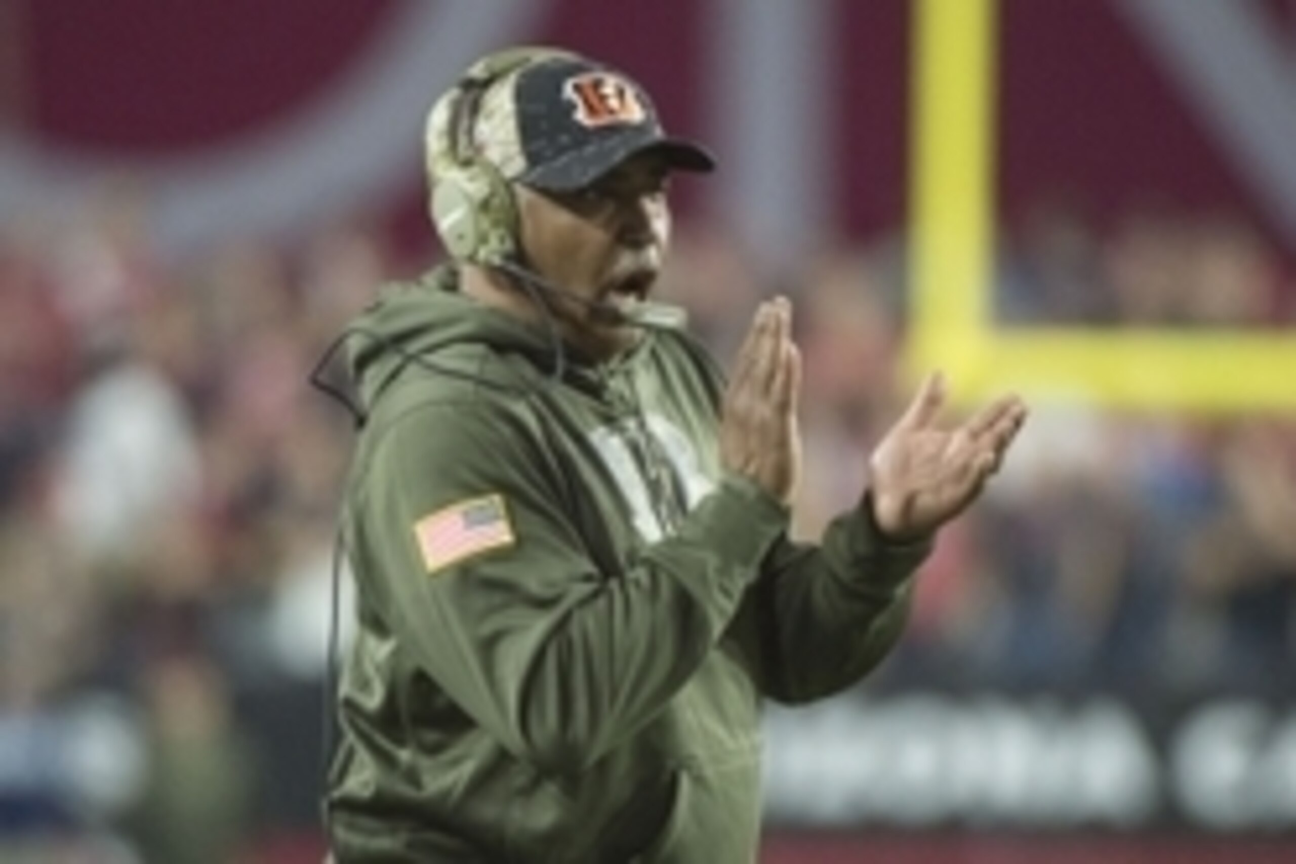 Marvin Lewis and the Cincinnati Bengals host the St. Louis Rams in Week 12.