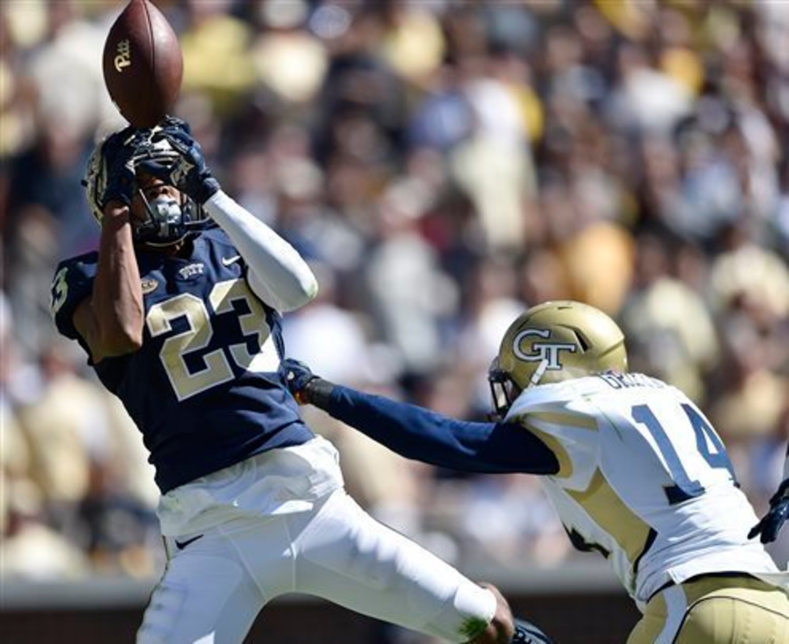 Pitt has had a very solid season in '15.