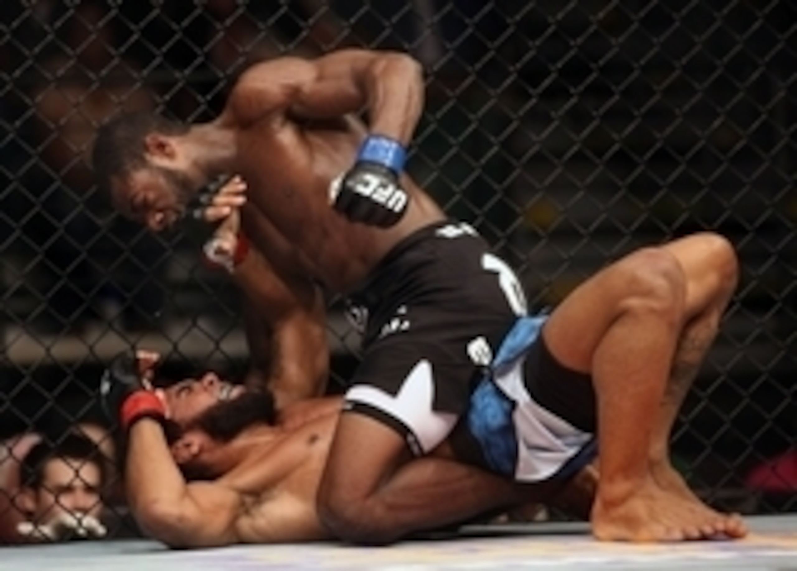 New York's Aljamain Sterling is one of the brightest prospects at bantamweight.