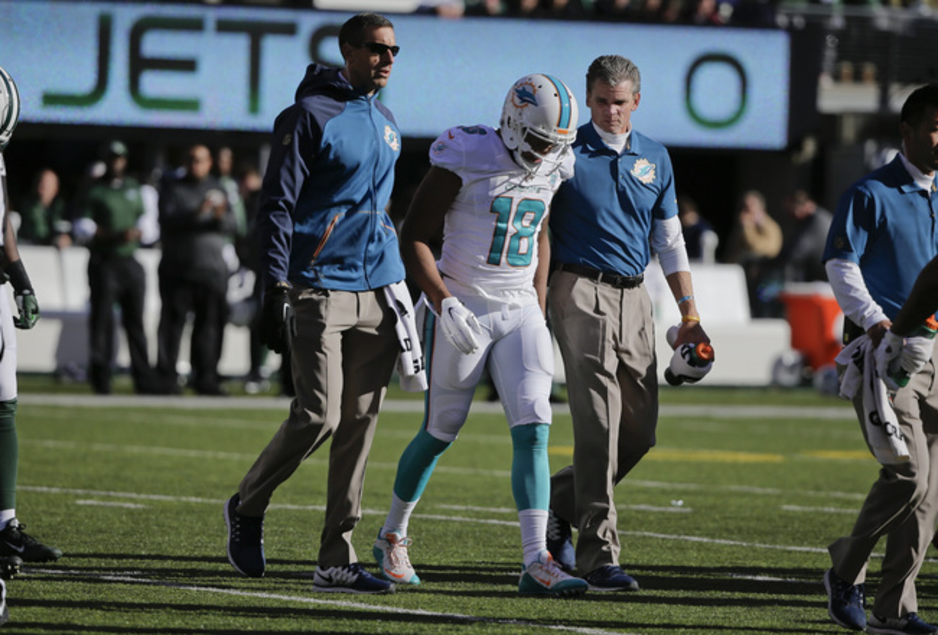 Dolphins WR Rishard Matthews