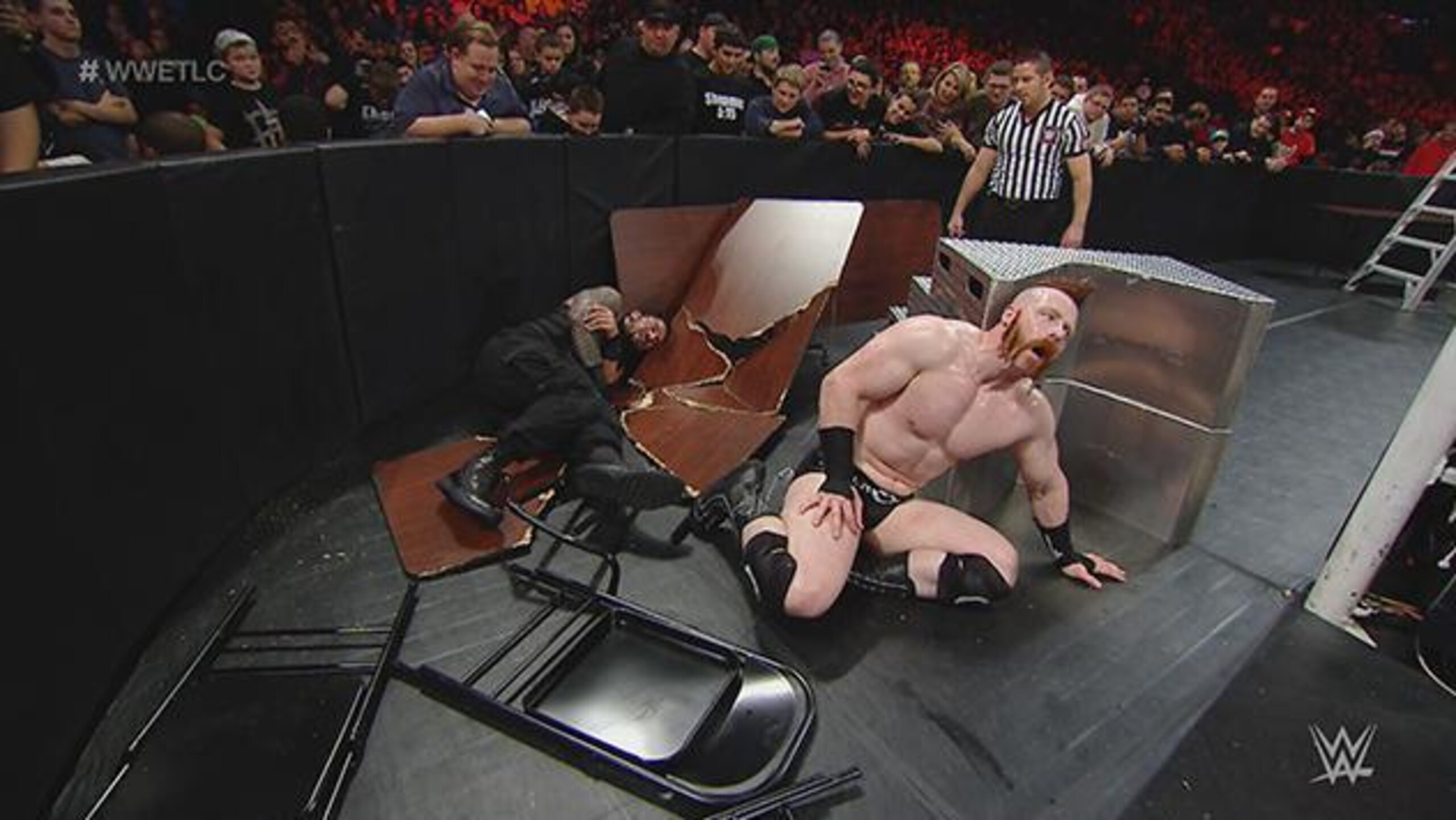 Sheamus and Roman Reigns used everything they could against each other at TLC.