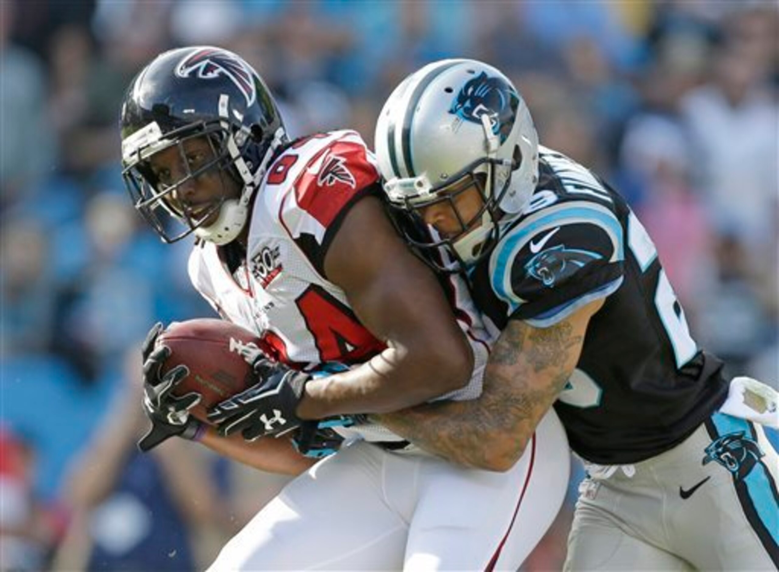 I've had a different Panther on this slide for every predicted win.  I am running out of Panthers.