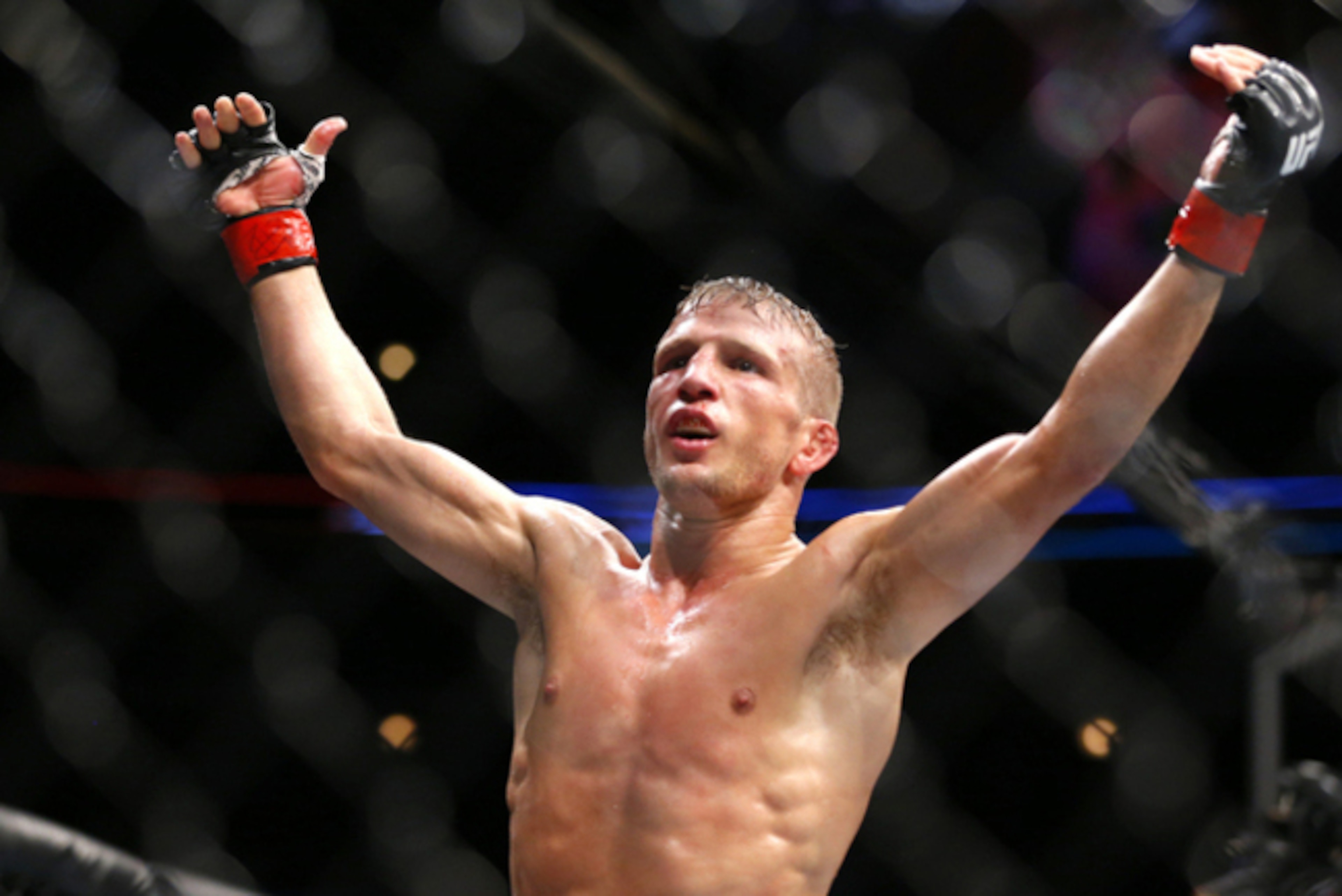 Dillashaw looks to defend his bantamweight title for the third time.