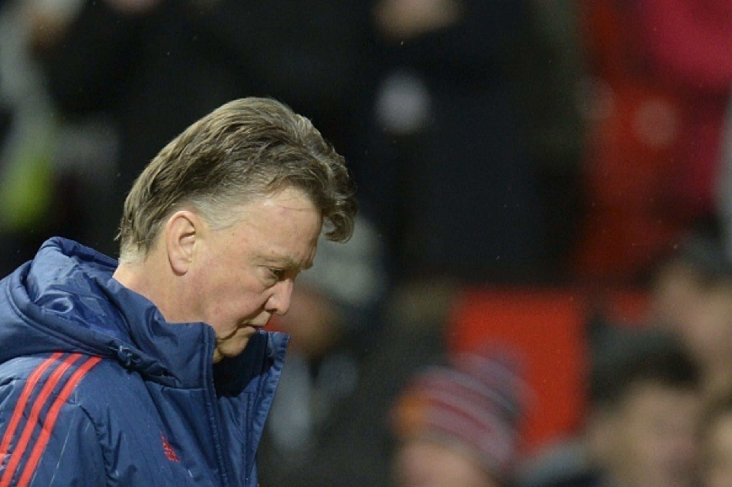 Does Van Gaal need Cavani? Does Van Gaal need Cavani?