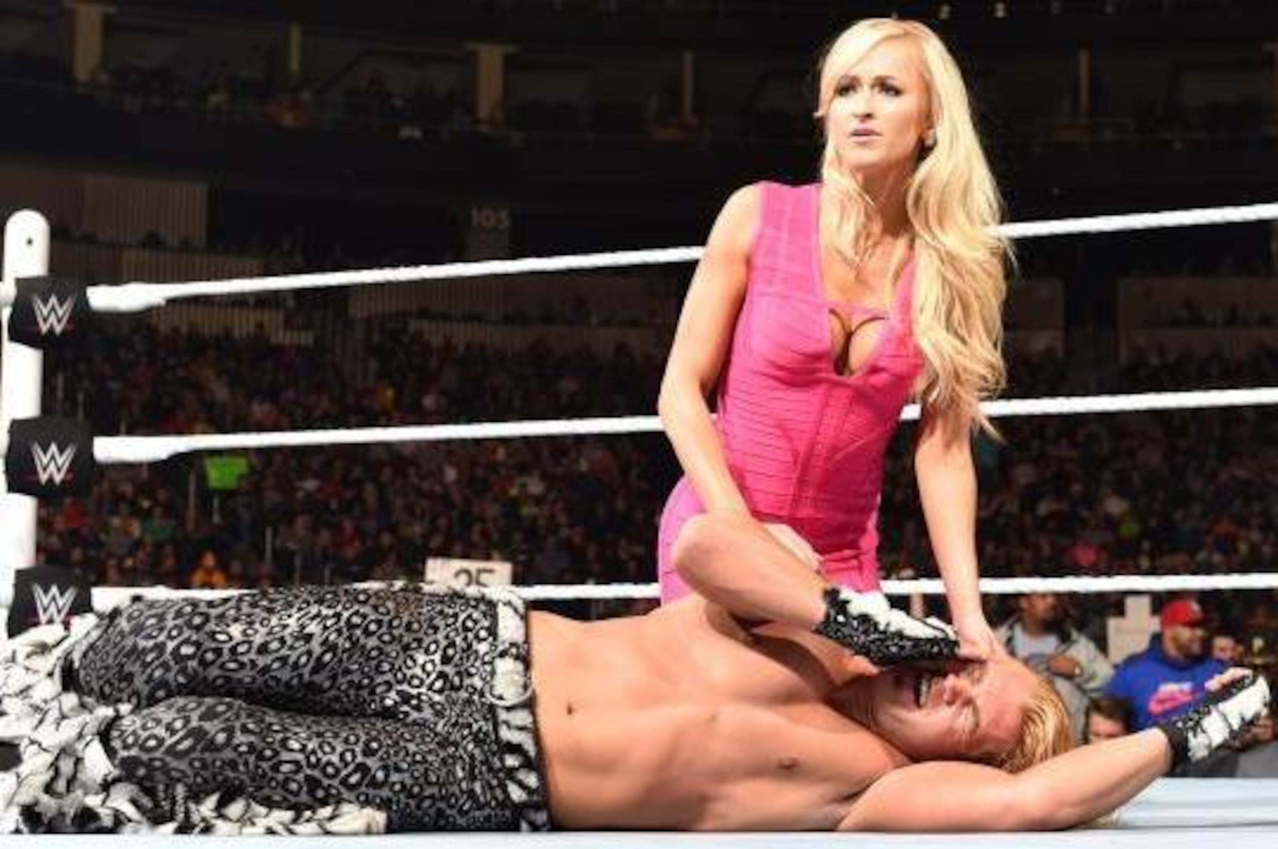 Tyler Breeze has fallen far since arriving on the WWE main roster.