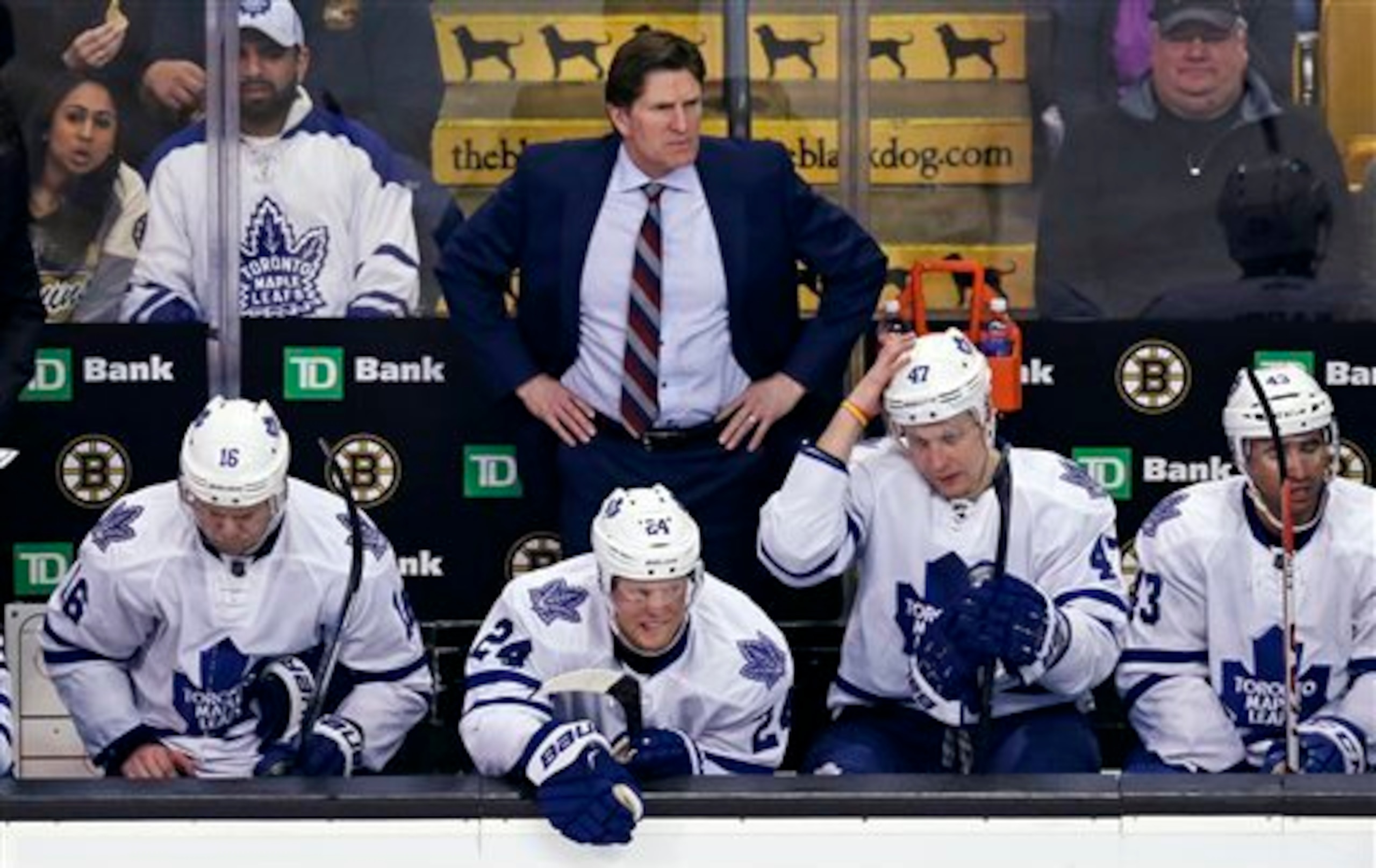 The Toronto Maple Leafs have been linked to local boy Steven Stamkos in this season's rumor mill.
