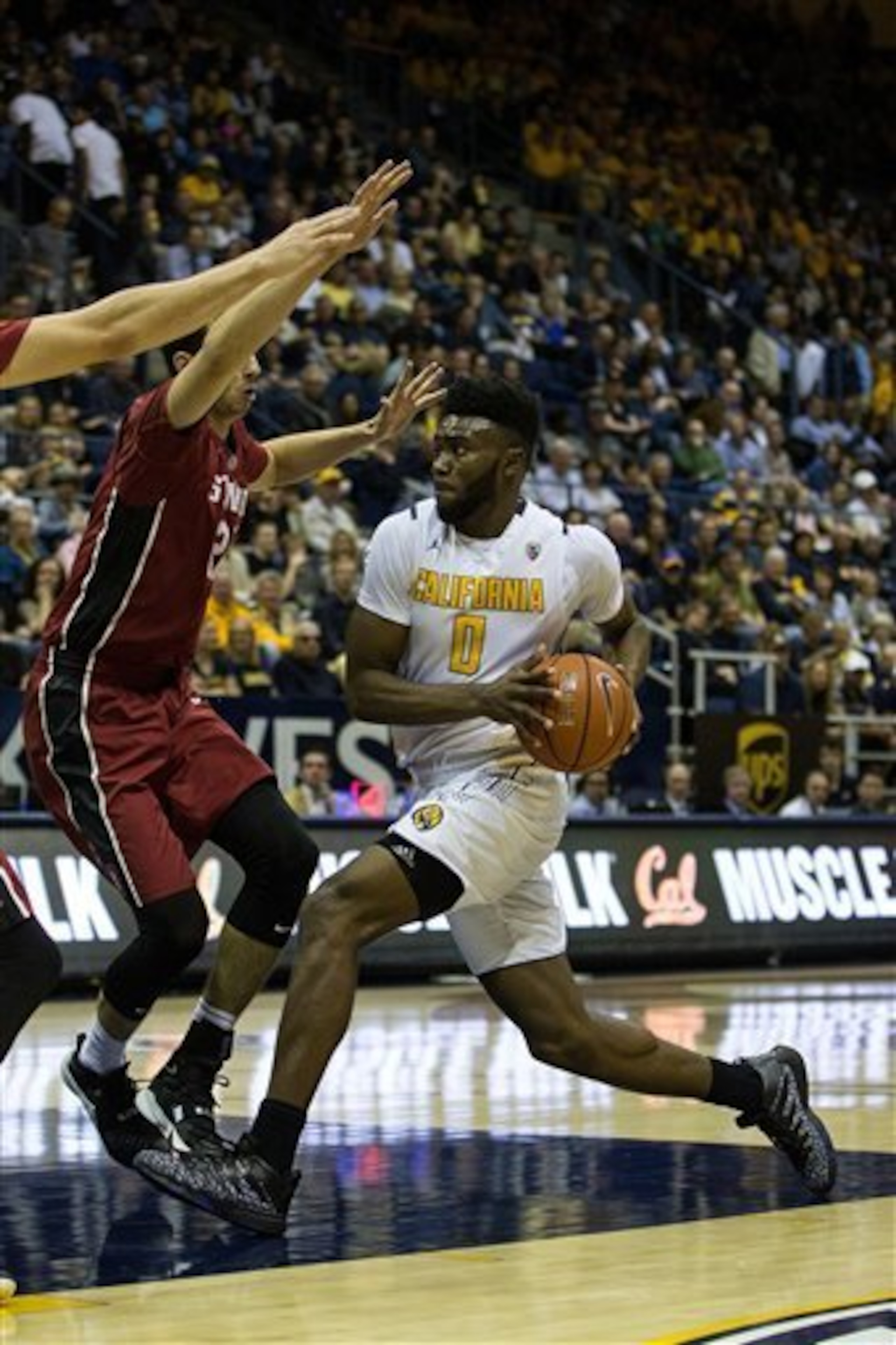 Jaylen Brown