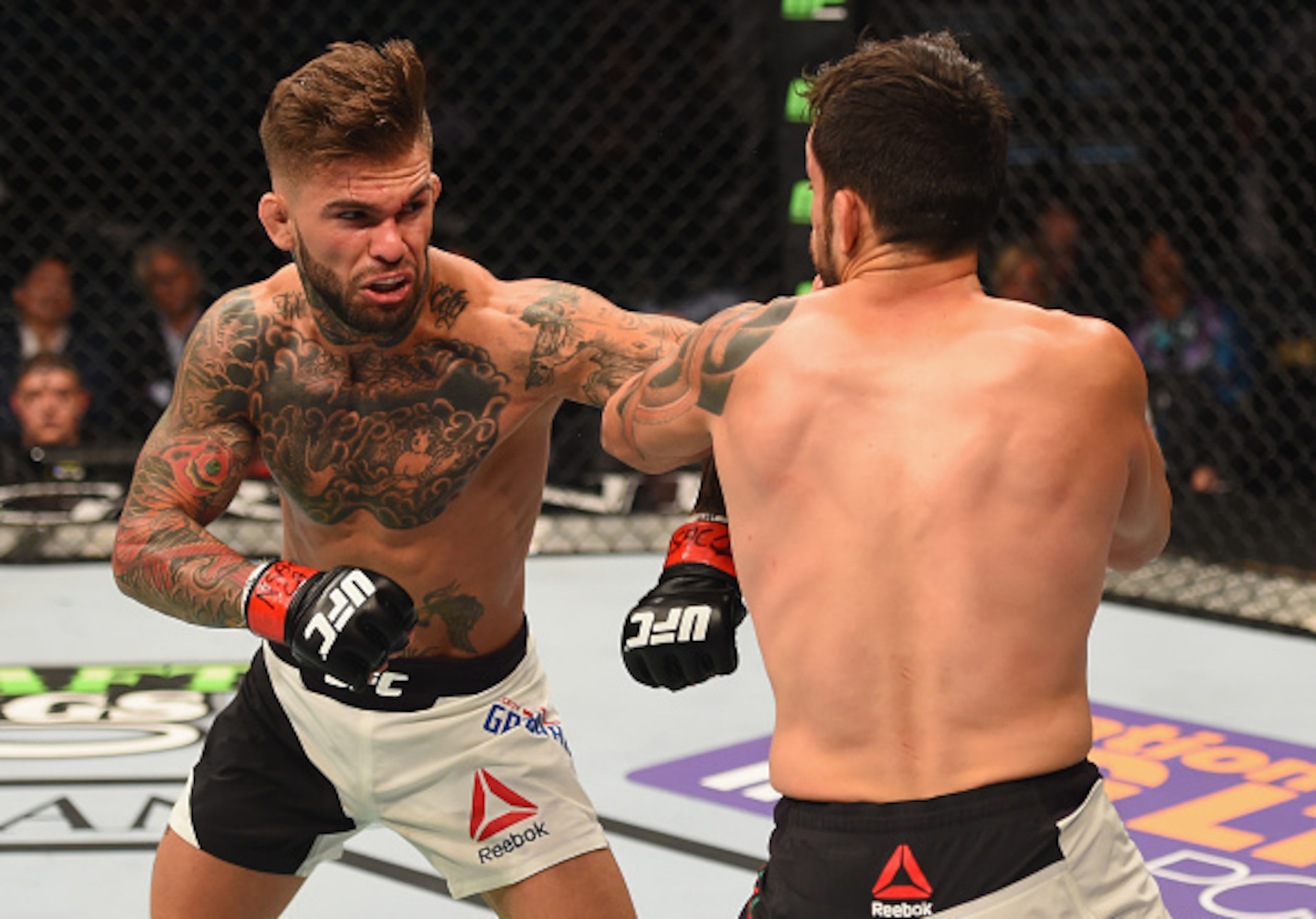 Garbrandt is a talented striker. Garbrandt is a talented striker.