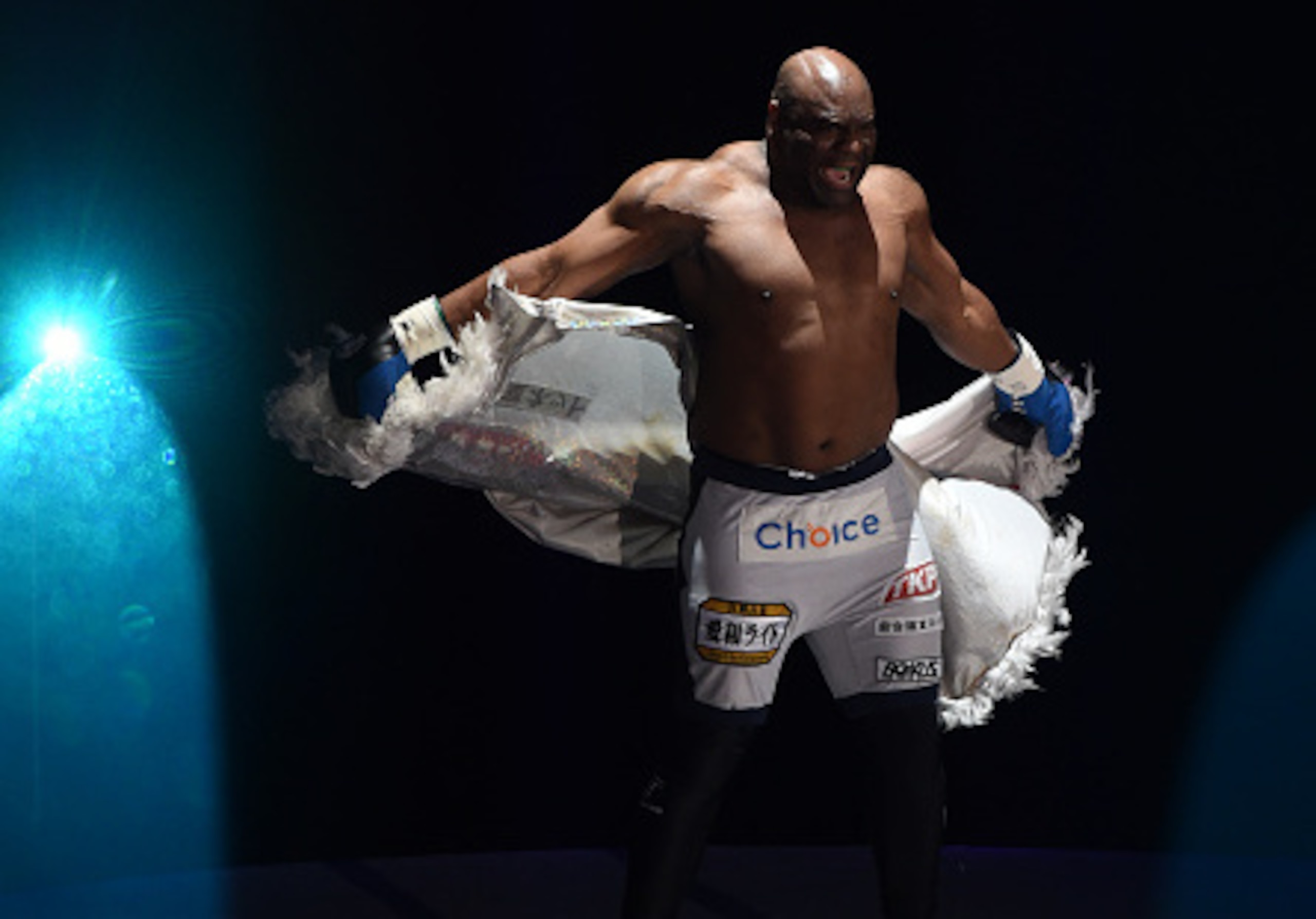 Bob Sapp