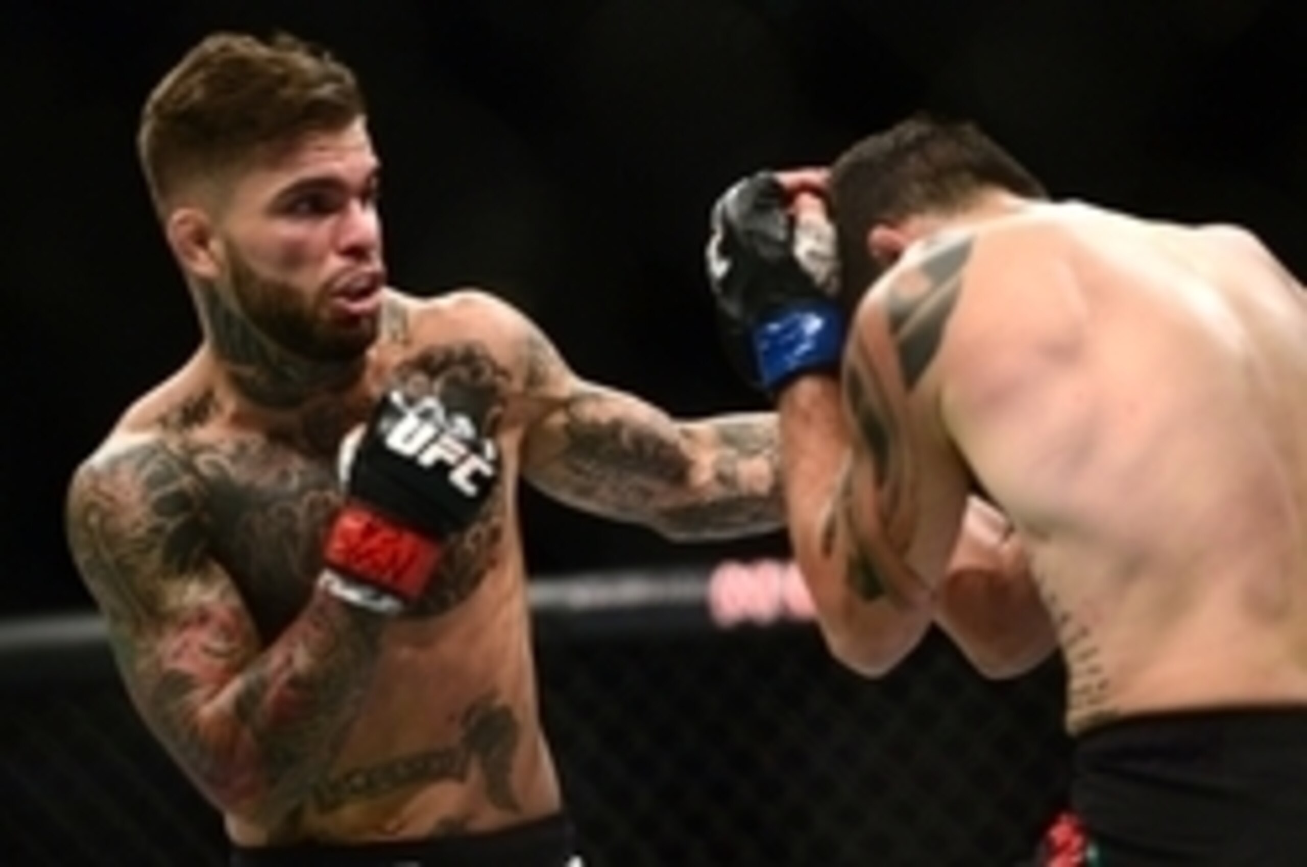 Cody Garbrandt