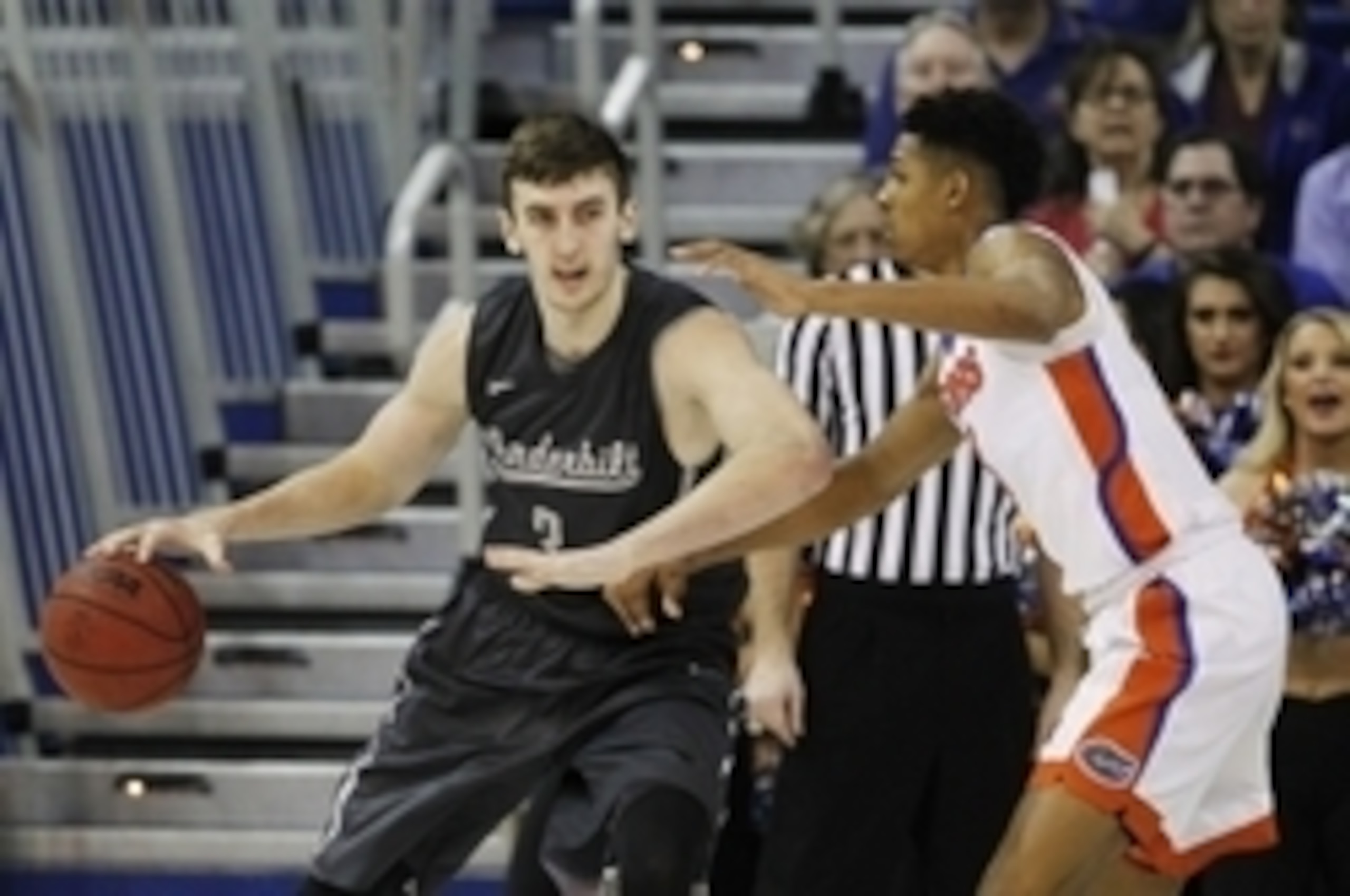 Luke Kornet Luke Kornet