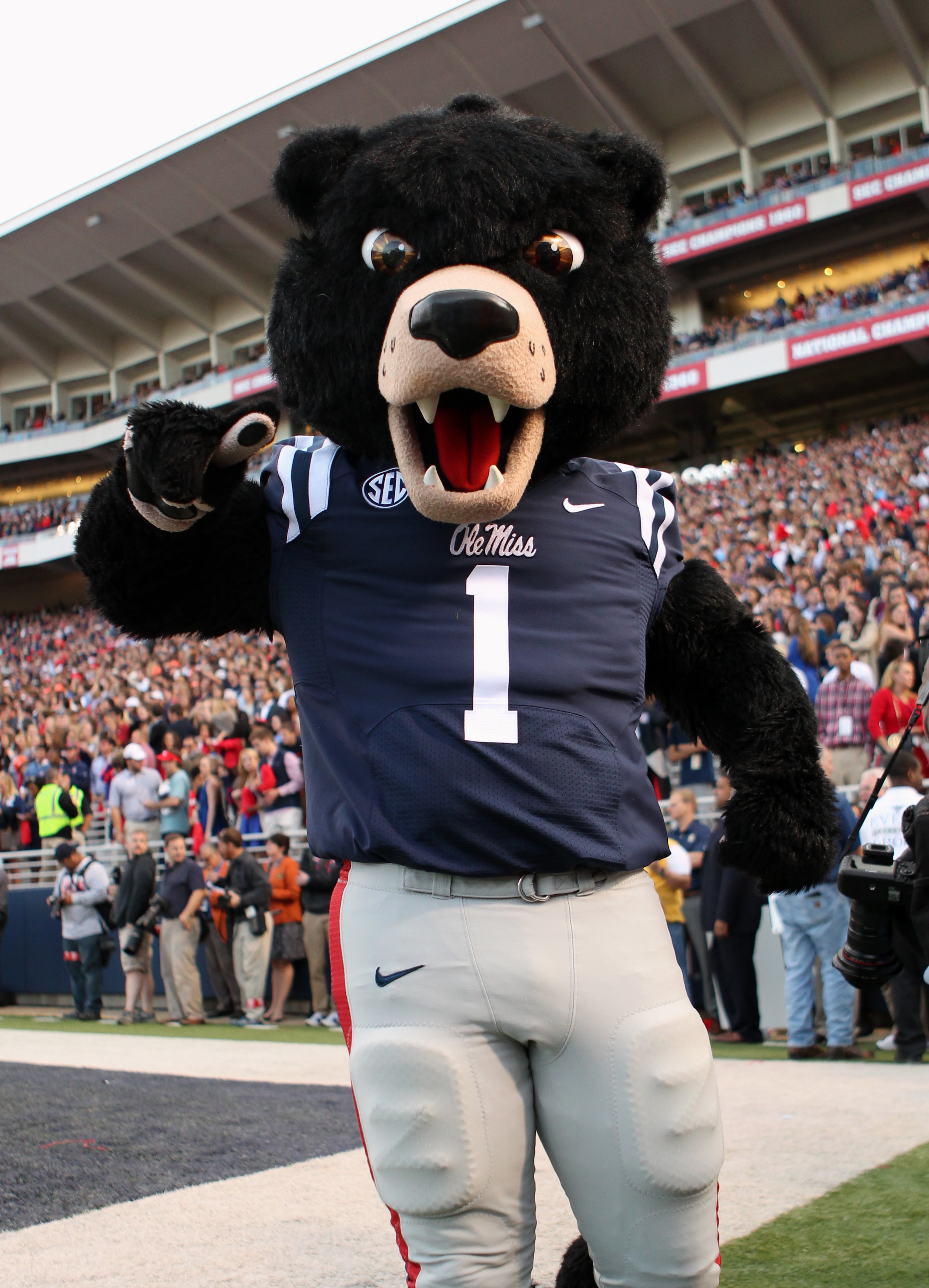The Ole Miss Black Bear is an odd compromise of a mascot. The Ole Miss Black Bear is an odd compromise of a mascot.