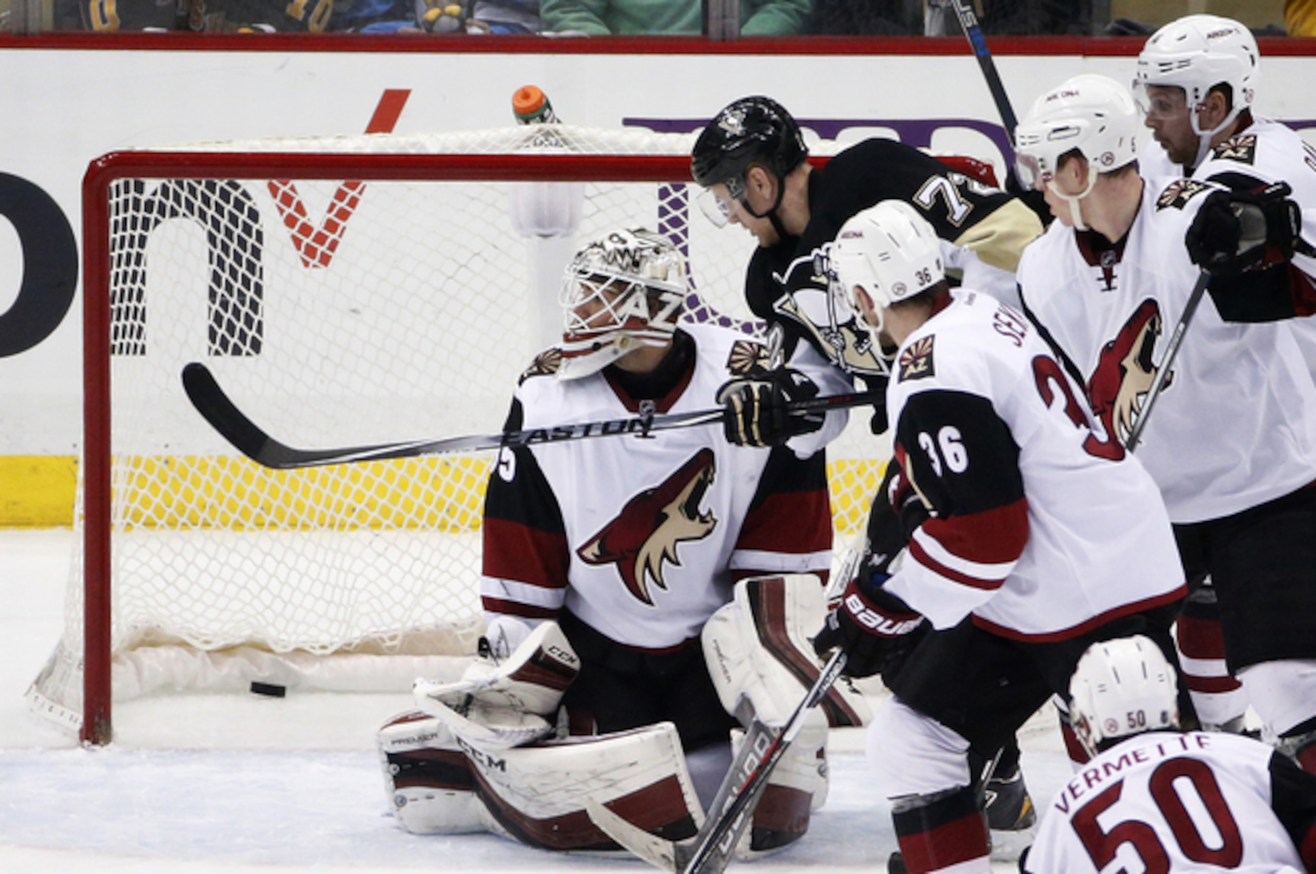 The rebuilding Arizona Coyotes experienced some growing pains this season.