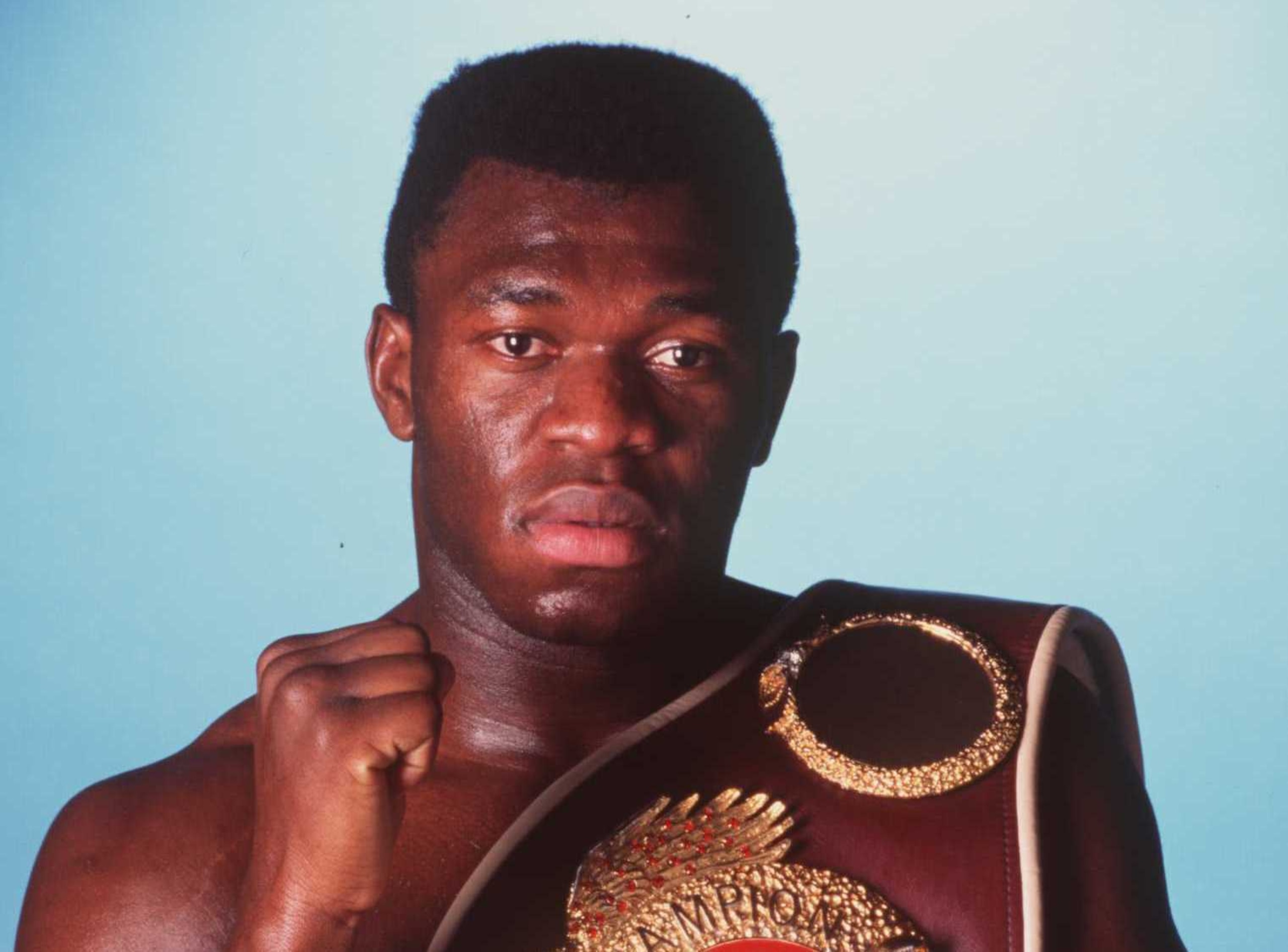 Herbie Hide twice held the WBO title during his professional career.