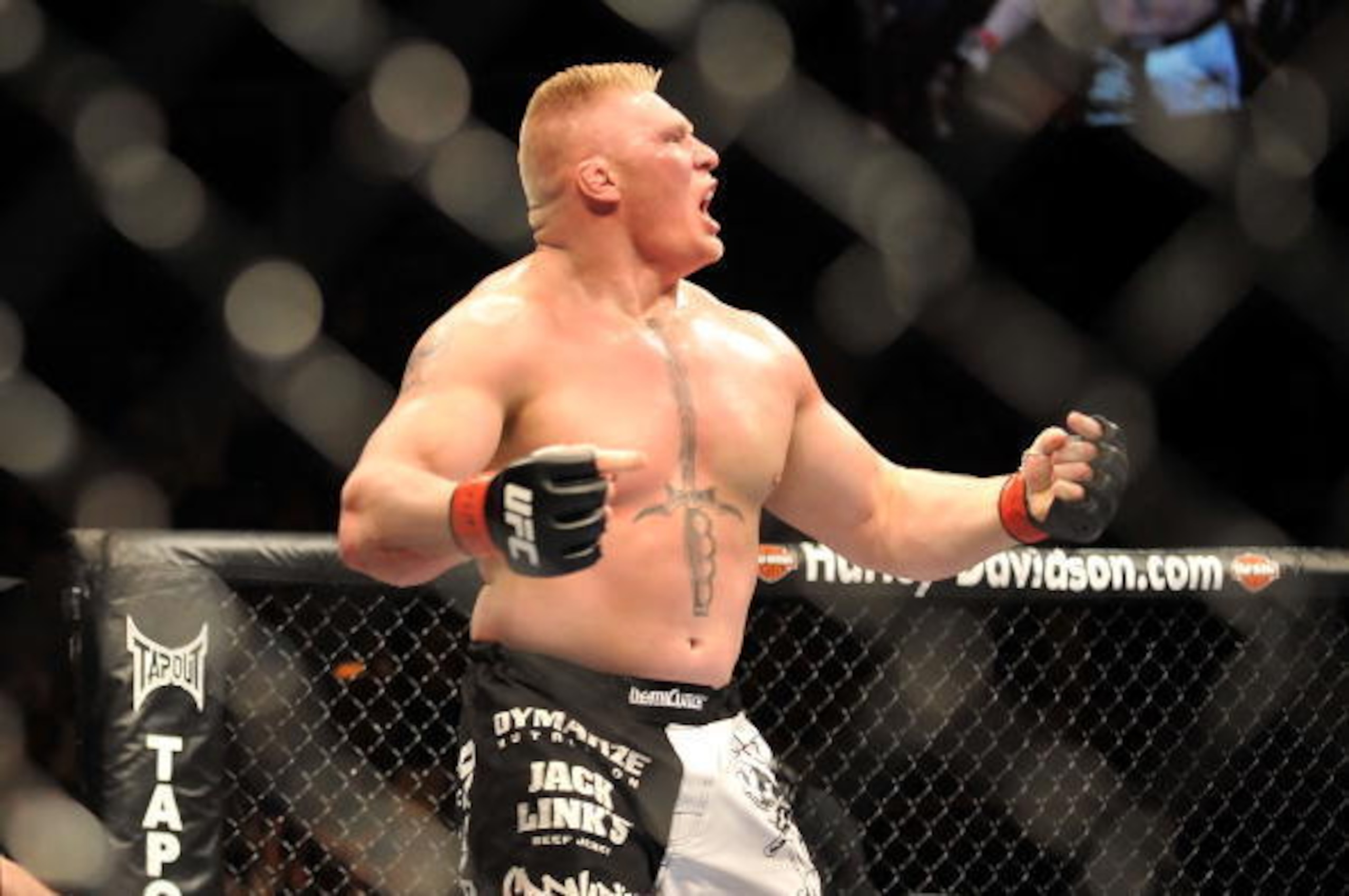 Brock Lesnar exacted his revenge against Frank Mir and gave one of the most memorable post-fight interviews in UFC history.